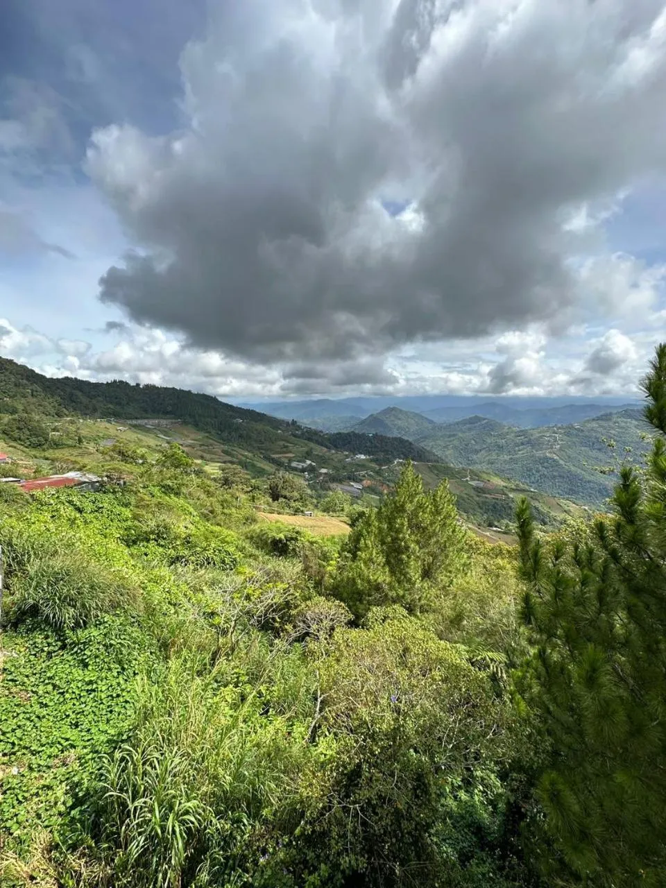 Fairy Garden Resort Kundasang