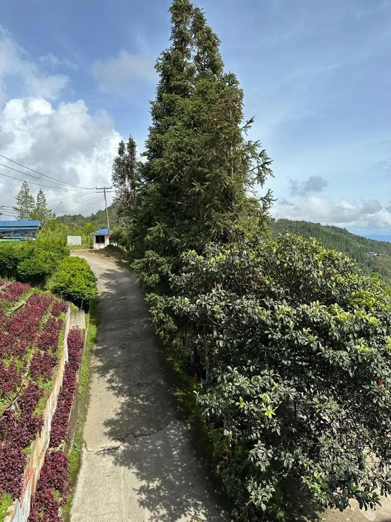 Fairy Garden Resort Kundasang