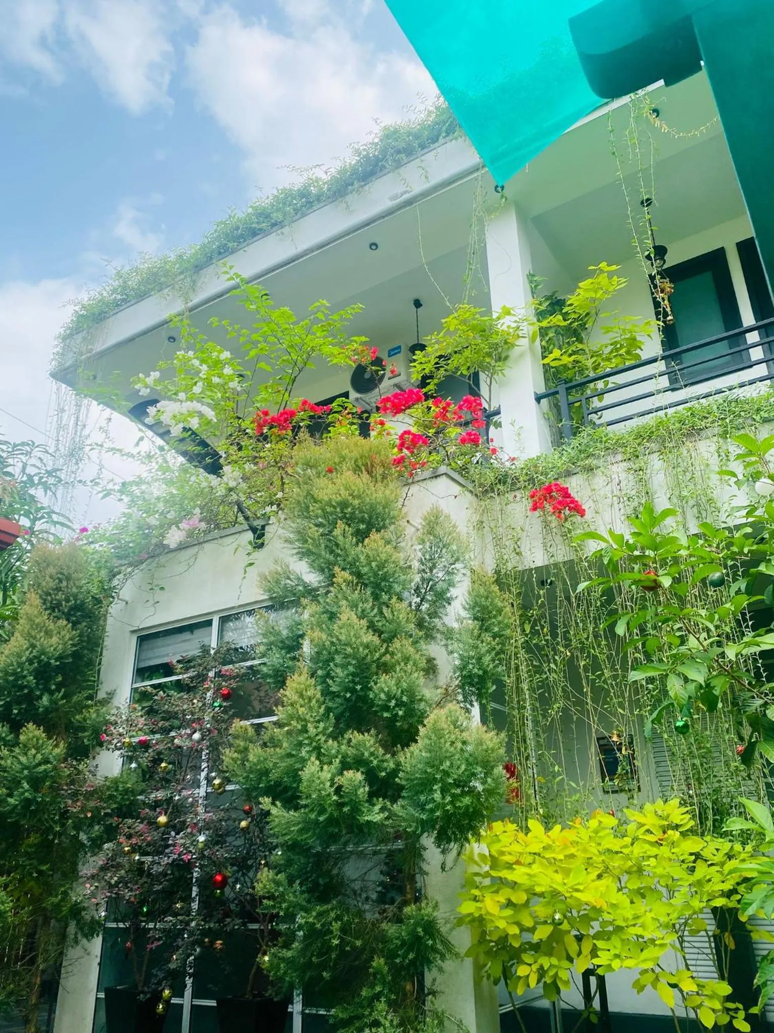 Garden in Airport Faith Hotel