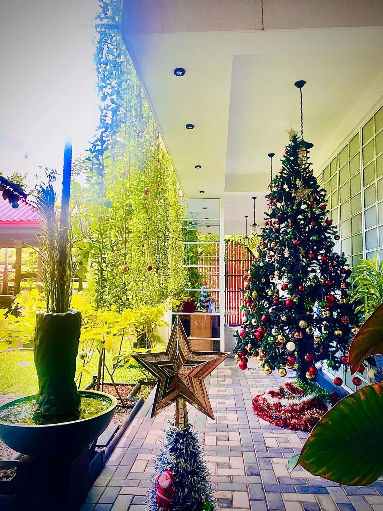 Garden in Airport Faith Hotel