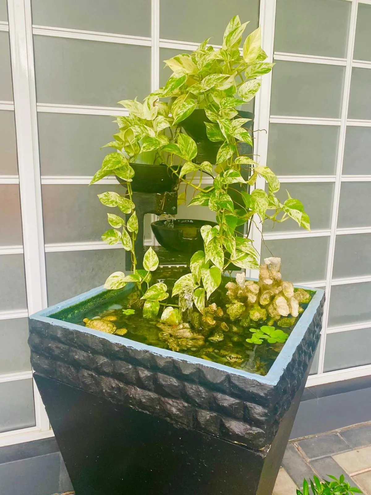 Garden in Airport Faith Hotel