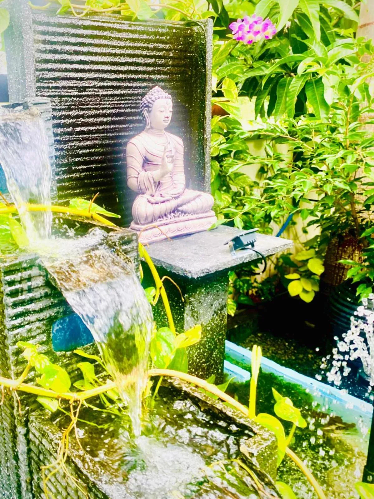 Garden in Airport Faith Hotel