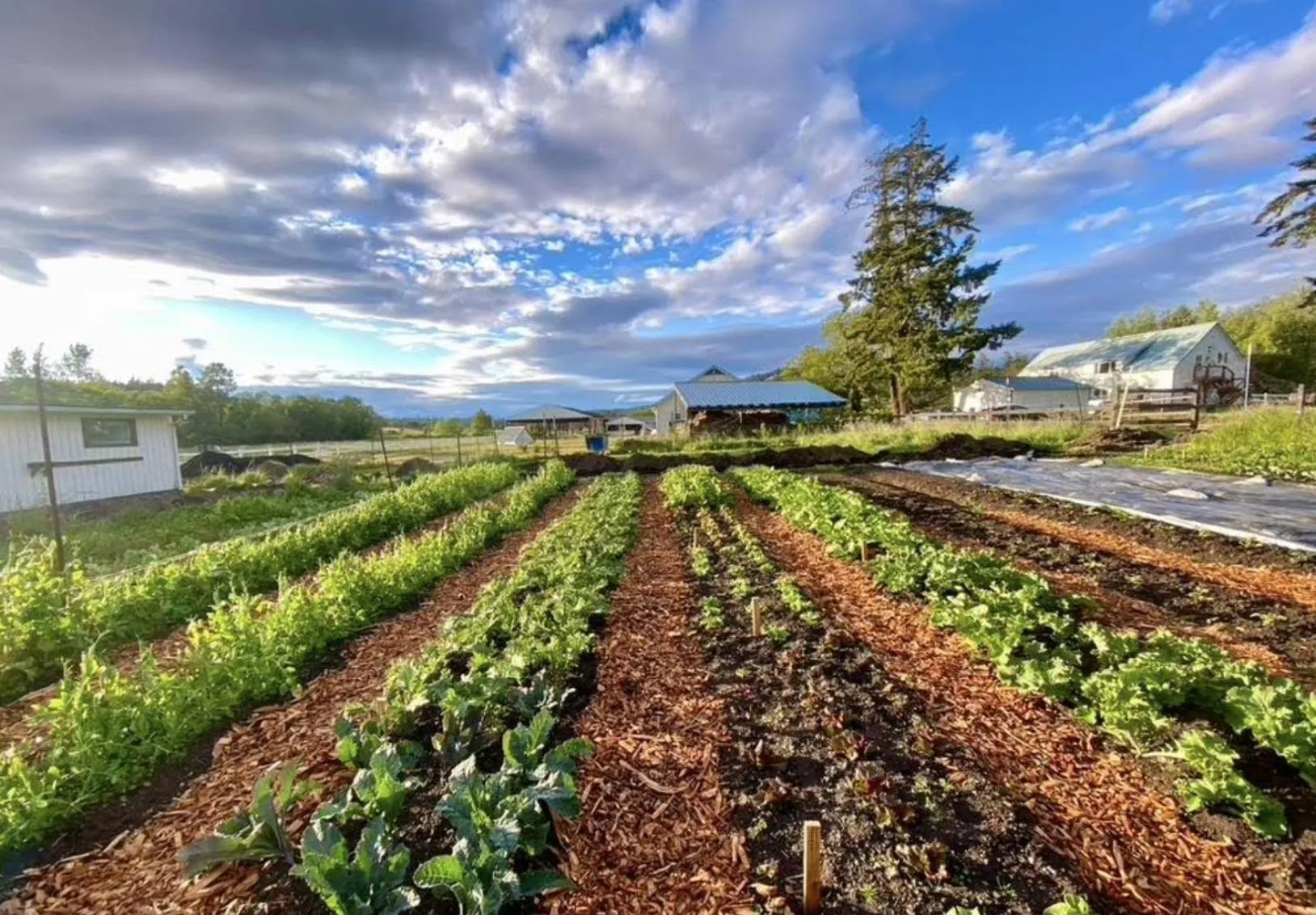 Property building in Saturn's Return