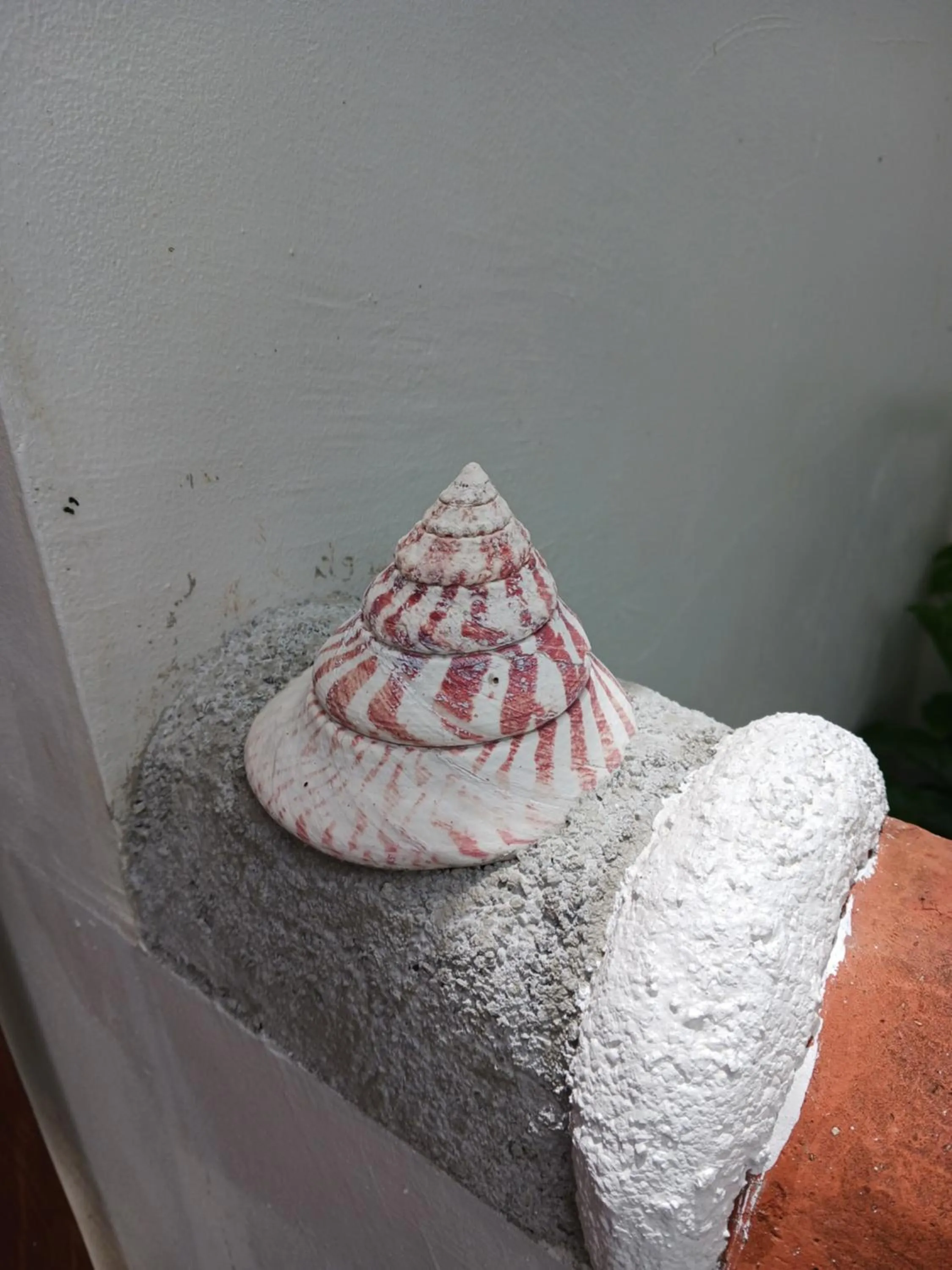 Day in そよ旅 Soyotabi