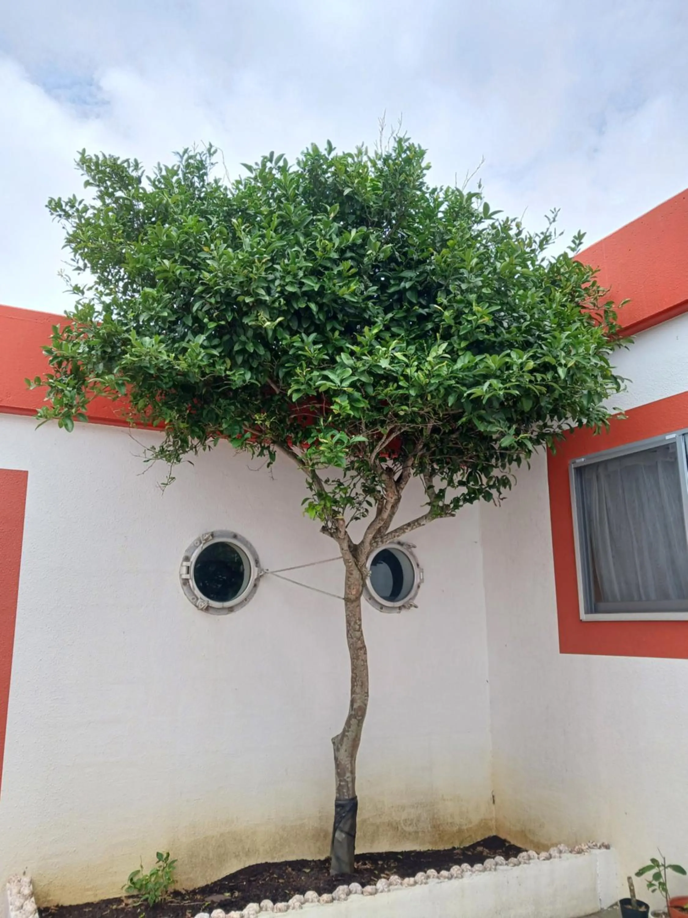 Day in そよ旅 Soyotabi