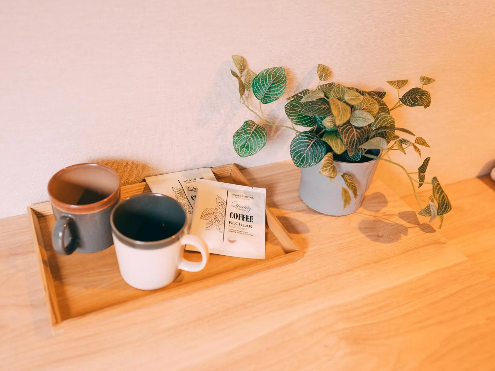 Photo of the whole room in R Hotel-The Atelier Shinsaibashi East