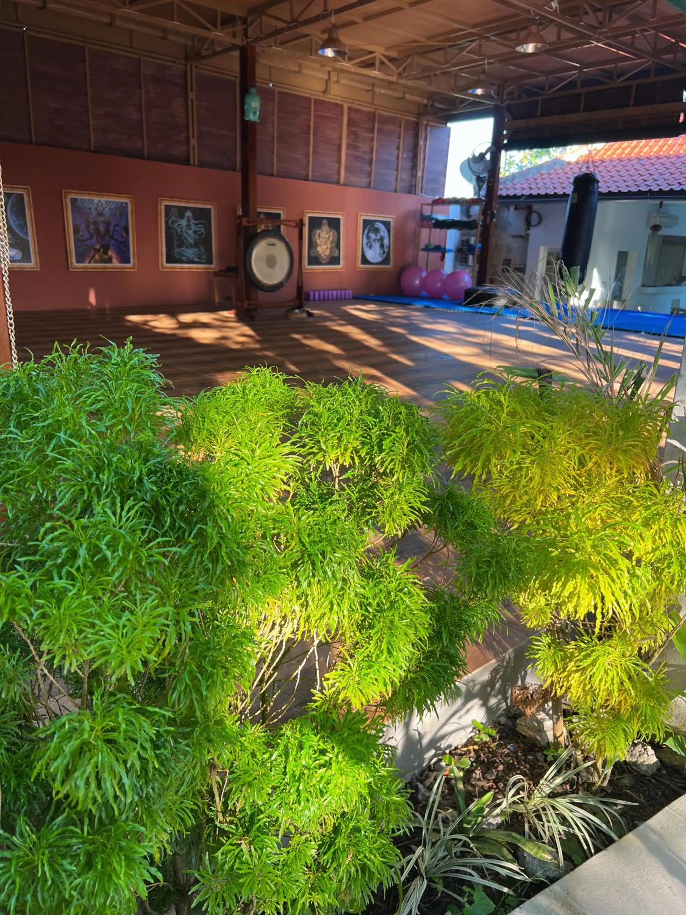 Garden in Villa Neshama