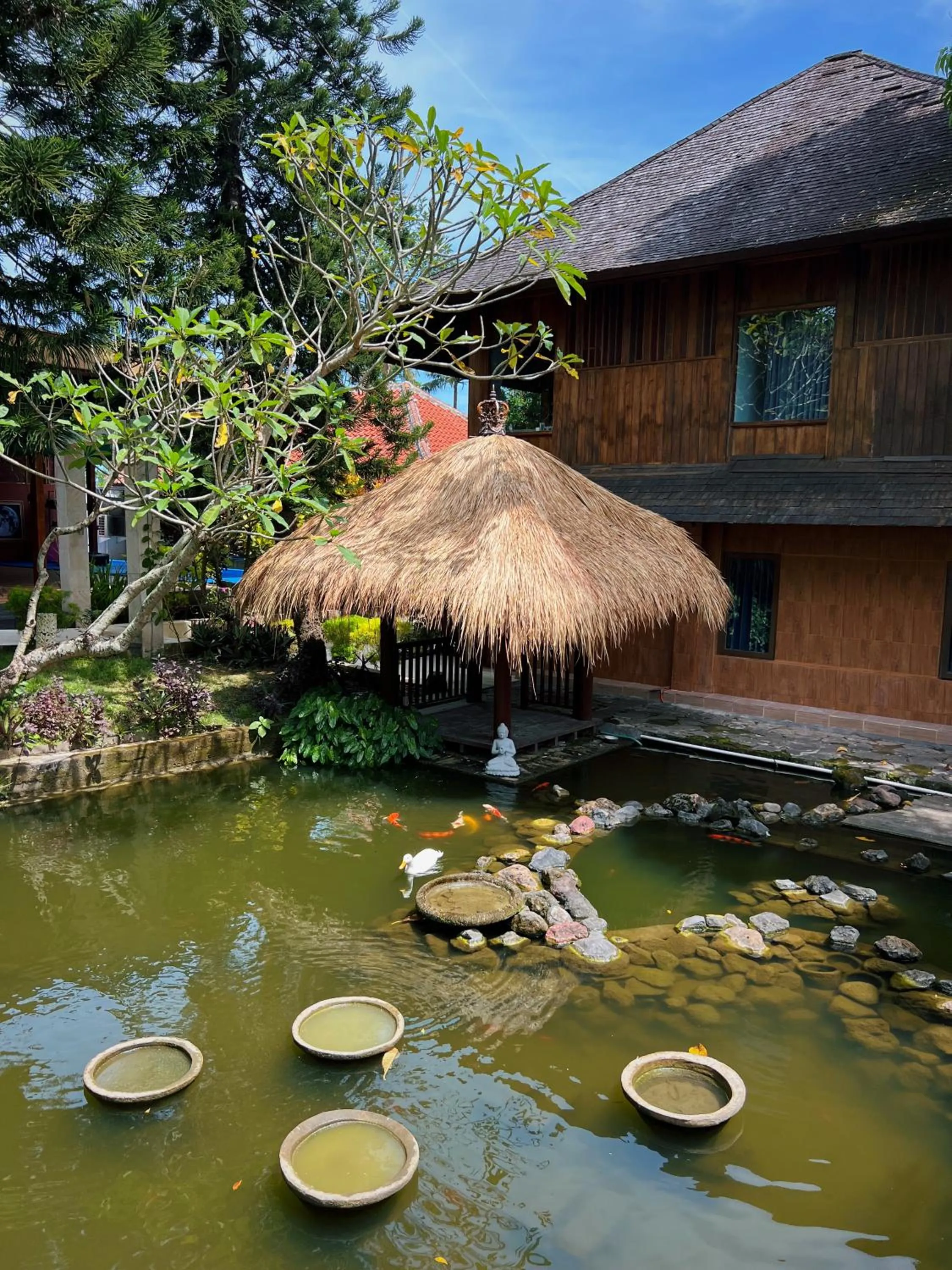 Garden view in Villa Neshama