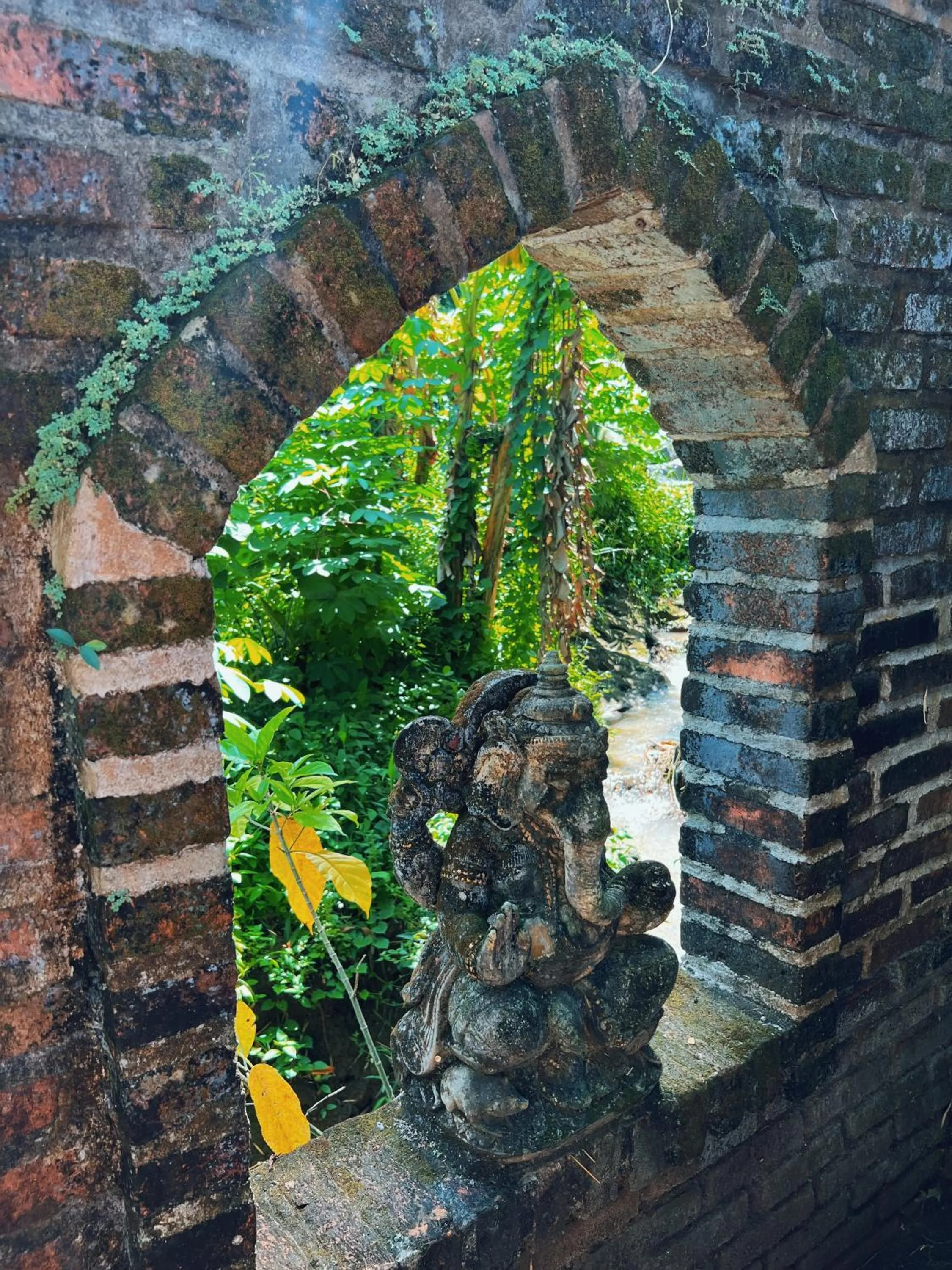 Natural landscape in Villa Neshama