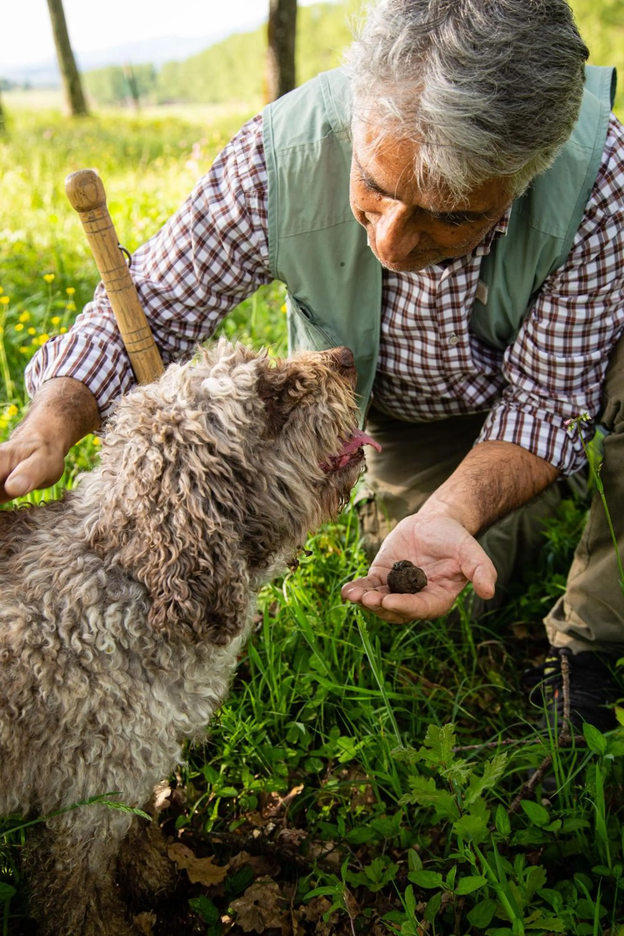 Activities in Agriturismo Borgo Scaffaia