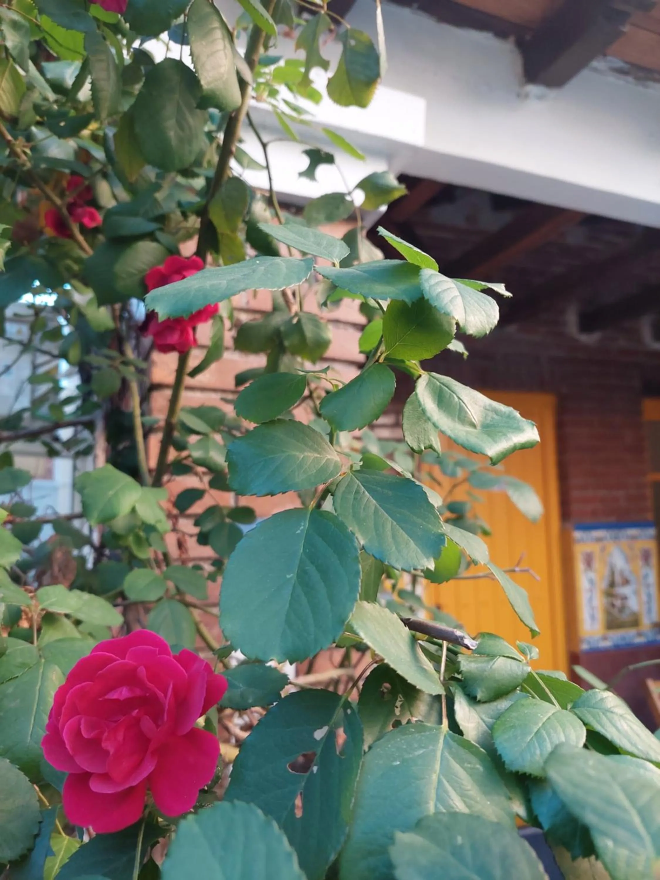 N1 Casa de Madrid - greenpeace line