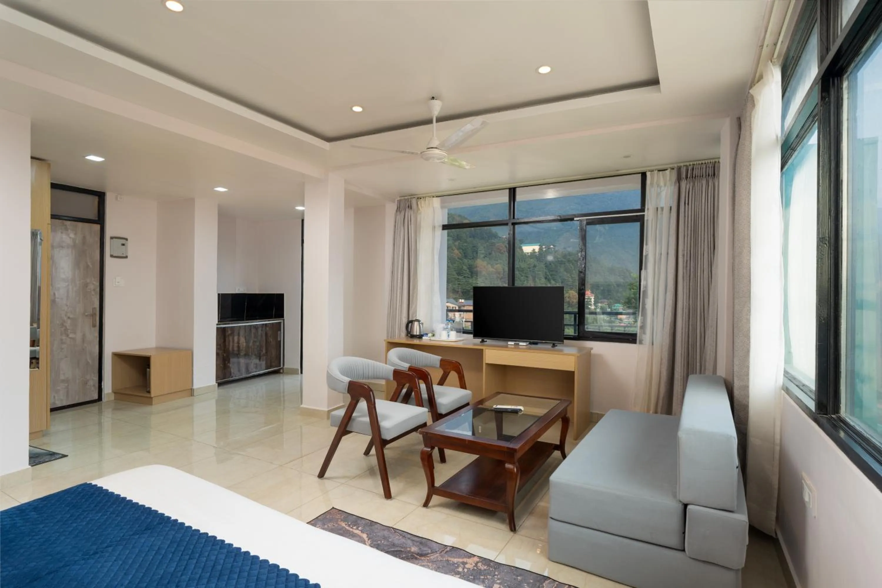 TV and multimedia in Hotel Buddha's Abode- Best Hotel in McleodGanj Main Market