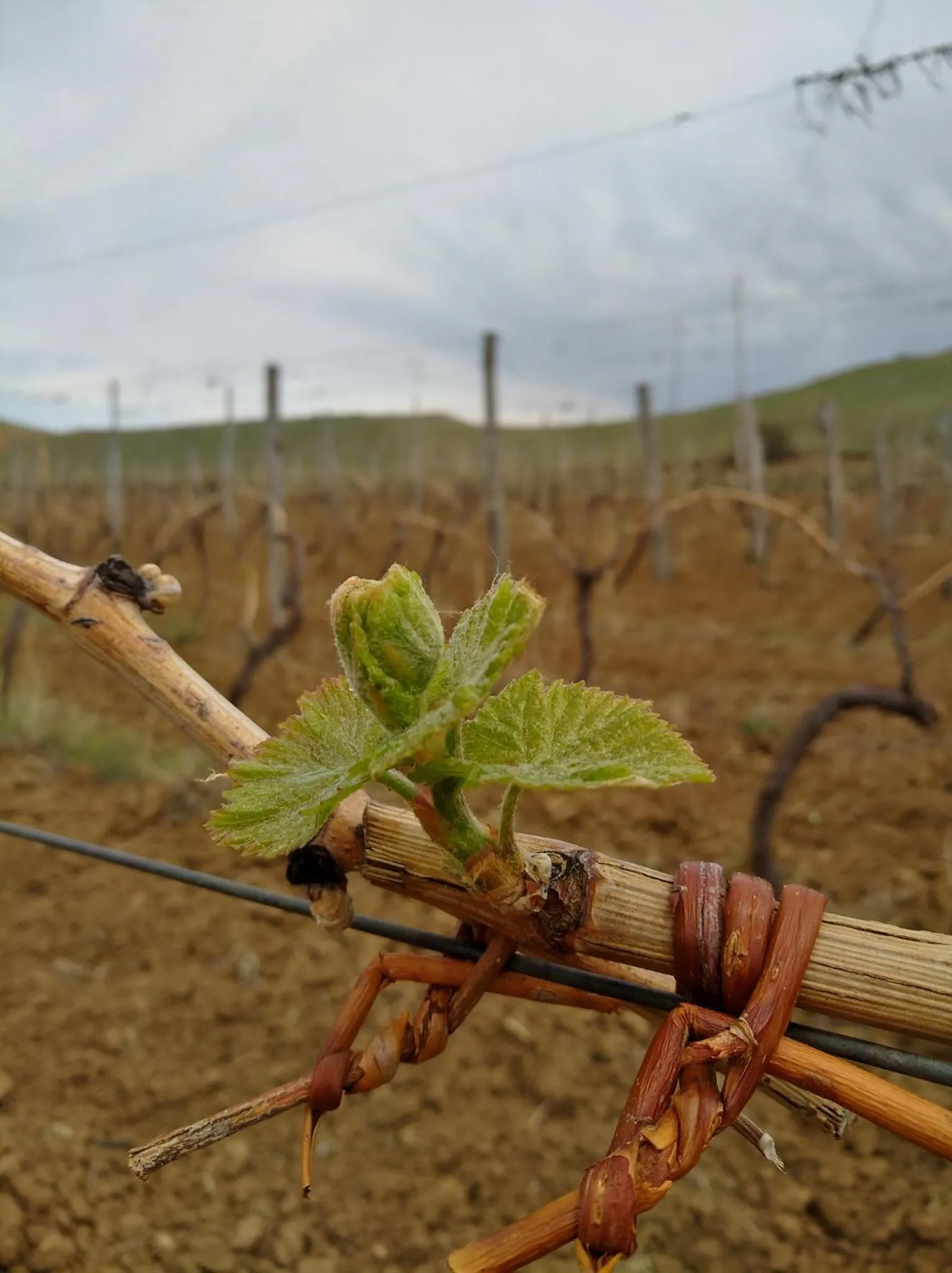 Day in Chateau Ateni Cottages