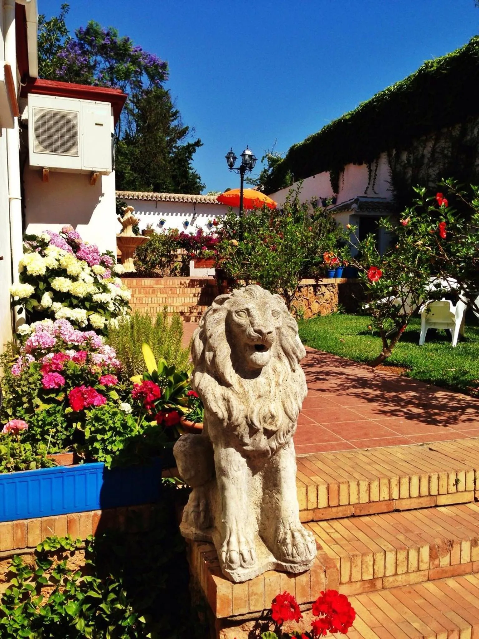 Patio in Hotel Carmen Teresa