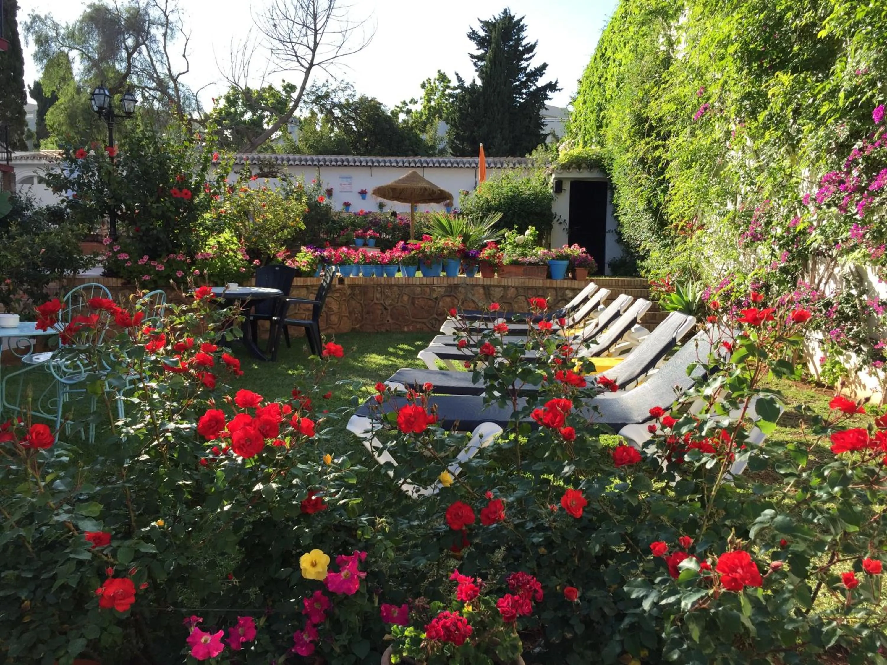 Garden in Hotel Carmen Teresa