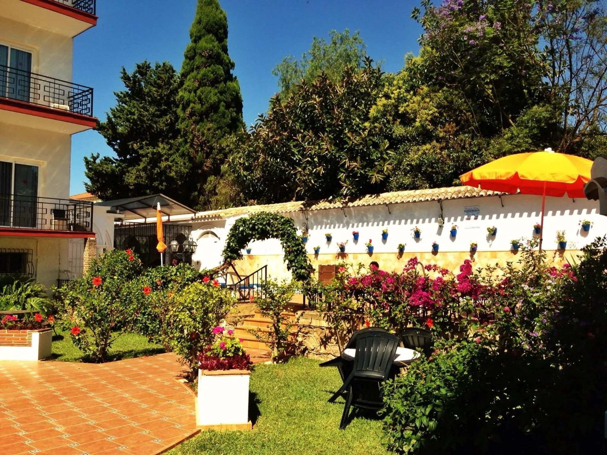 Garden in Hotel Carmen Teresa