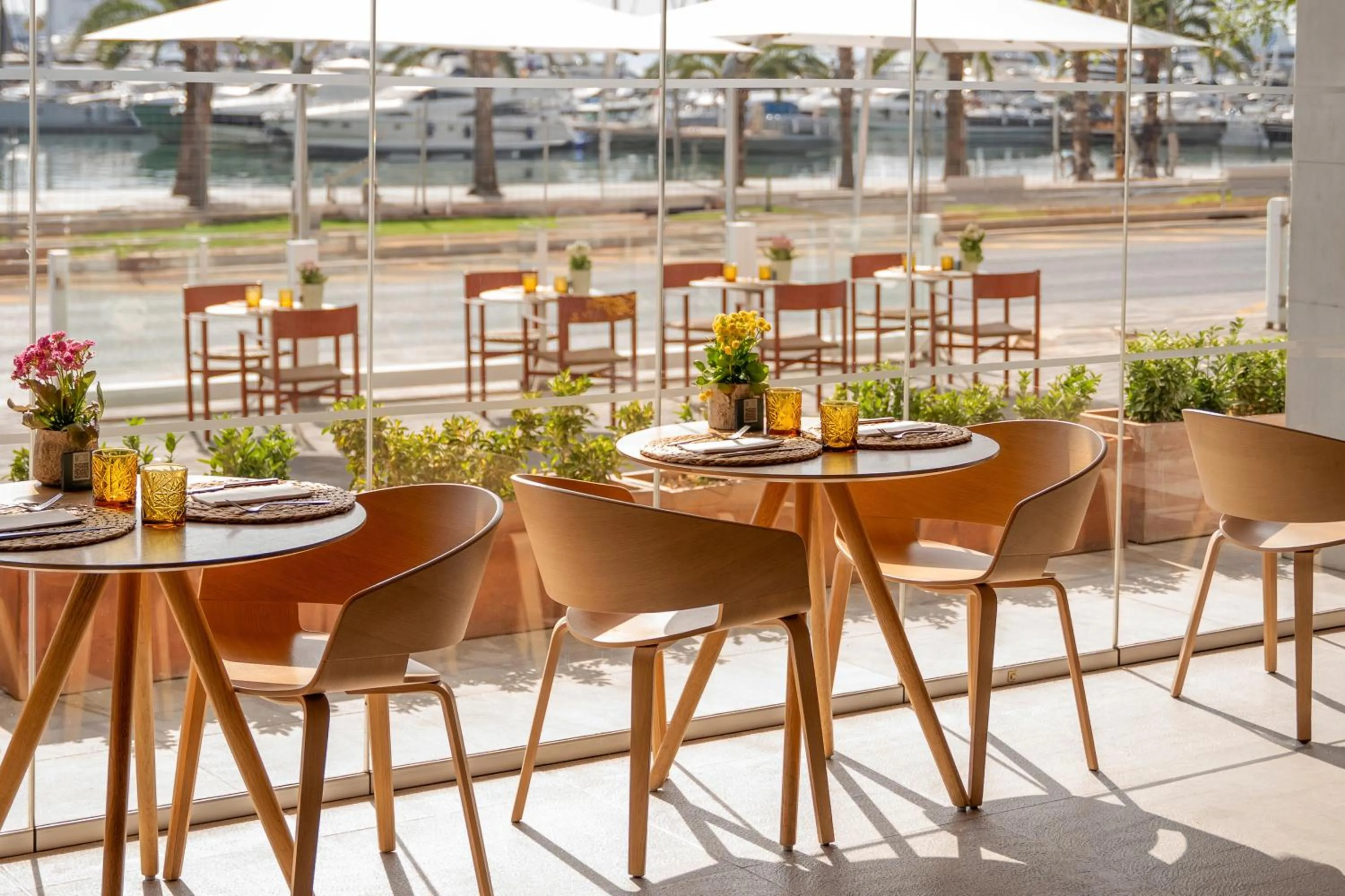 Restaurant/places to eat in Meliá Palma Marina