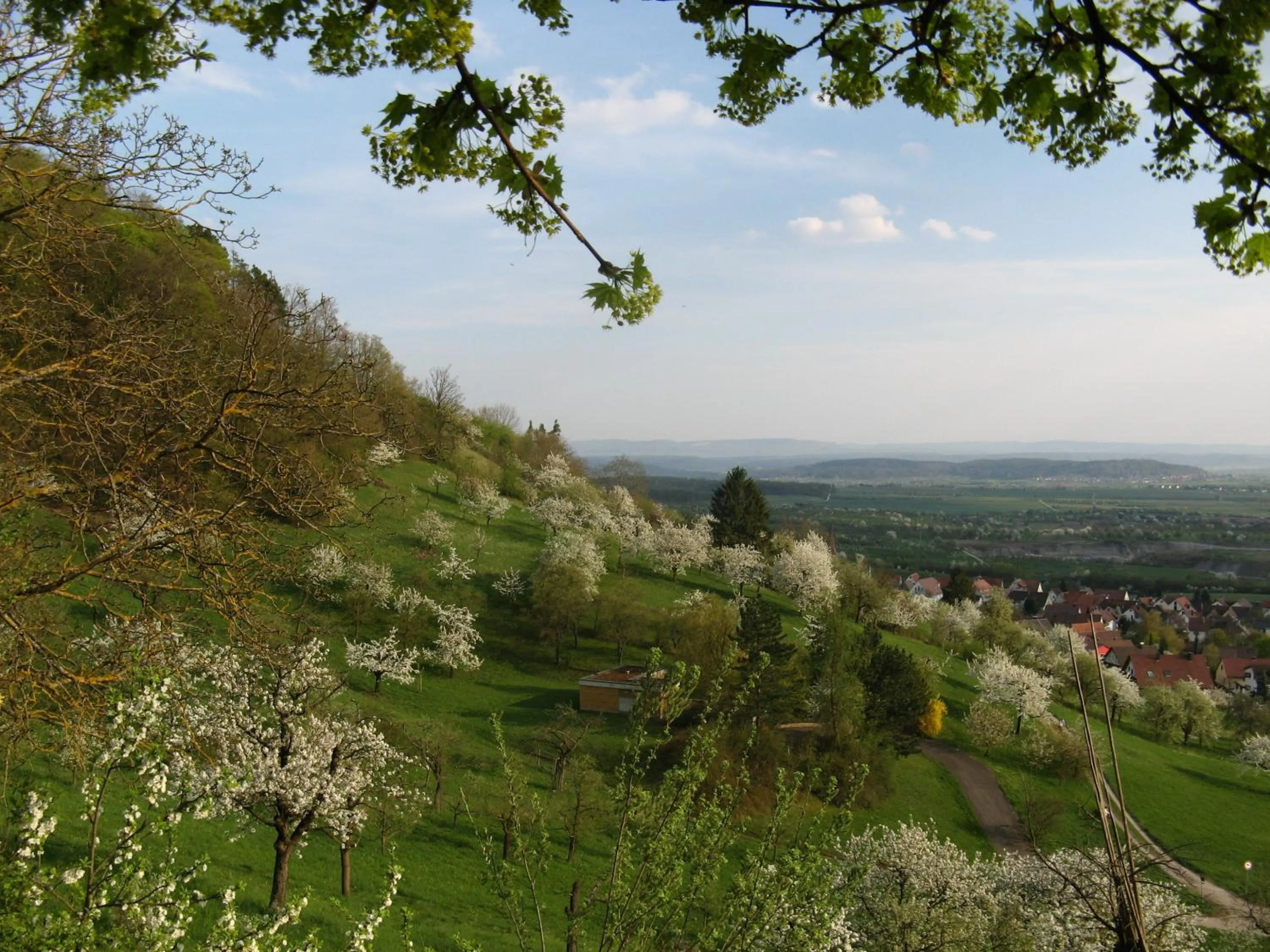 Area and facilities in Hotel & Restaurant Kaiser Superior