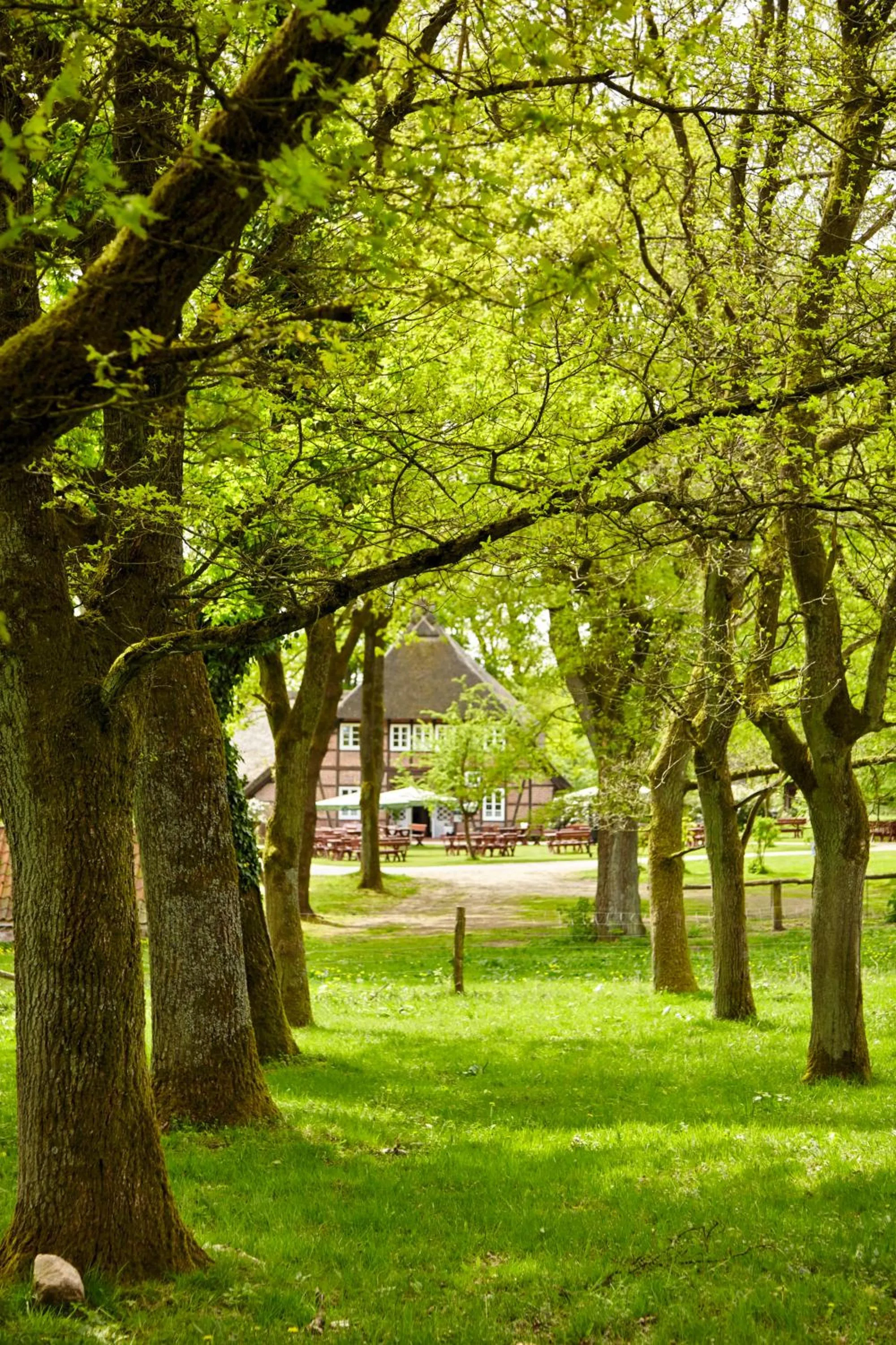 View (from property/room) in Hotel Hof Tütsberg
