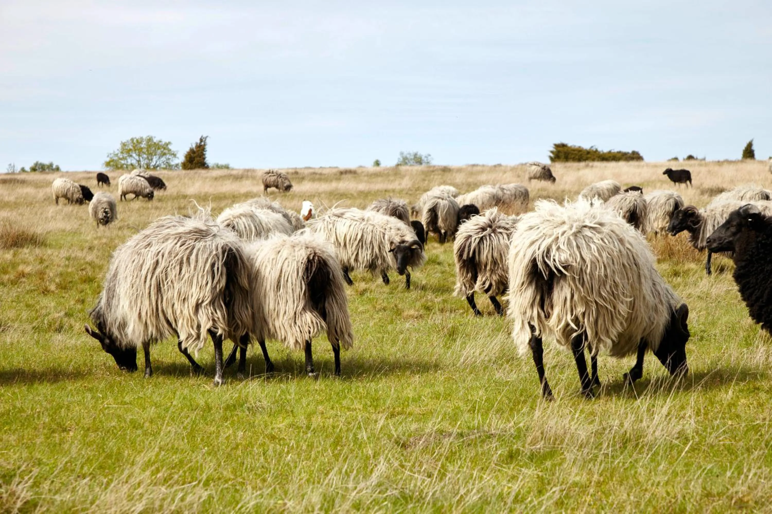 Day in Hotel Hof Tütsberg