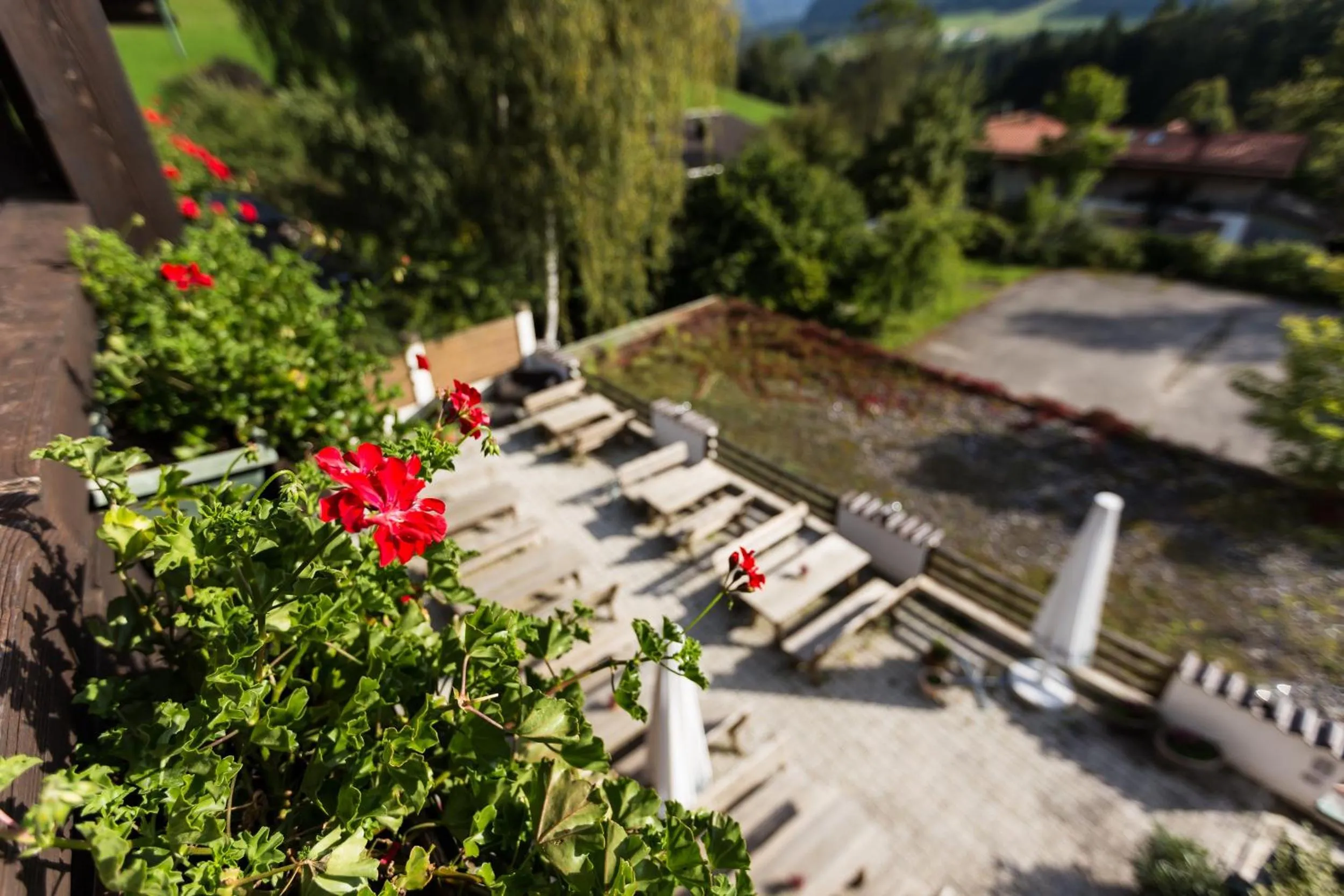 Mountain view in Landhotel Maiergschwendt inkl Chiemgaukarte