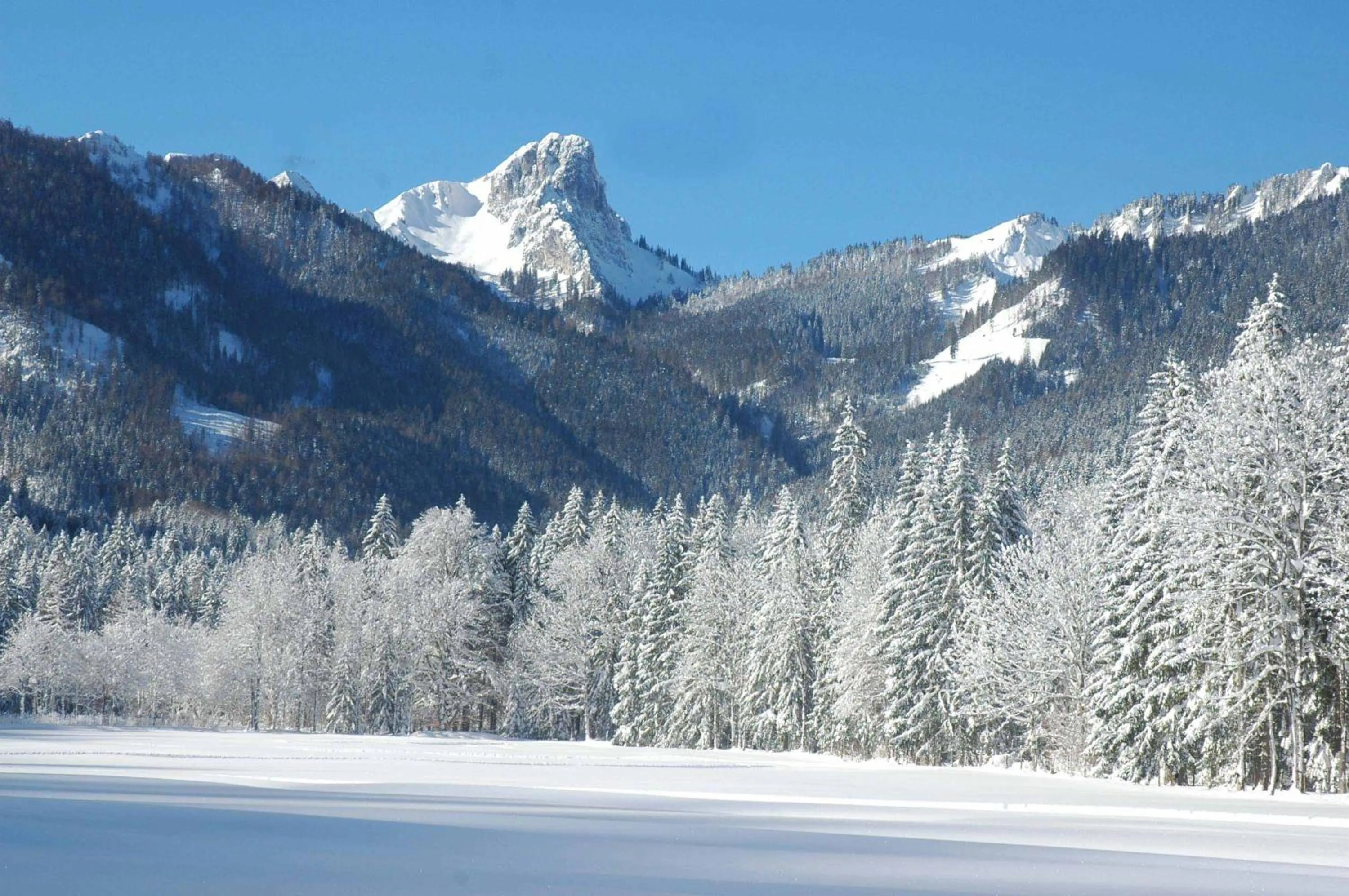 Natural landscape in Landhotel Maiergschwendt inkl Chiemgaukarte