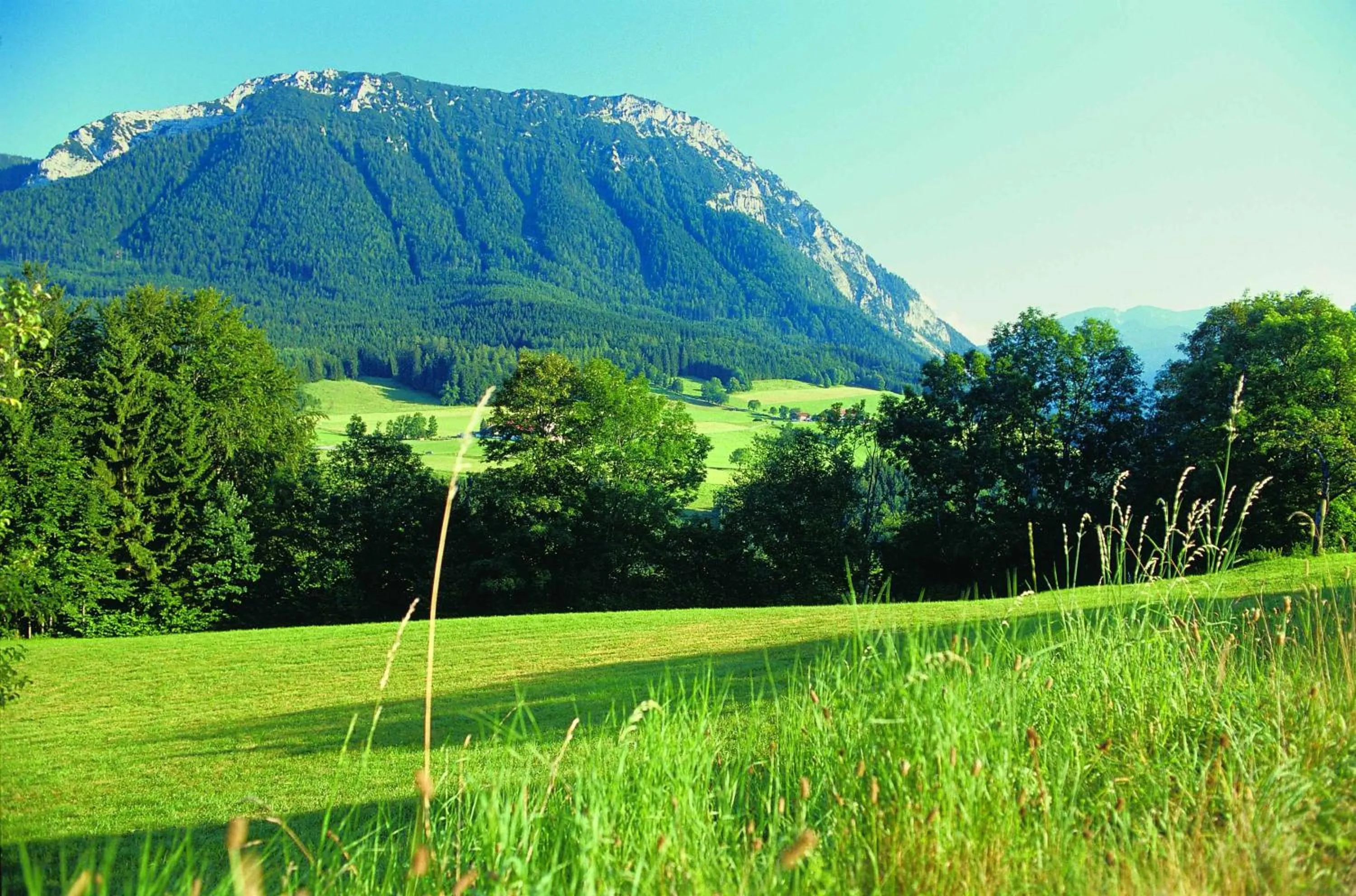 Natural landscape in Landhotel Maiergschwendt inkl Chiemgaukarte