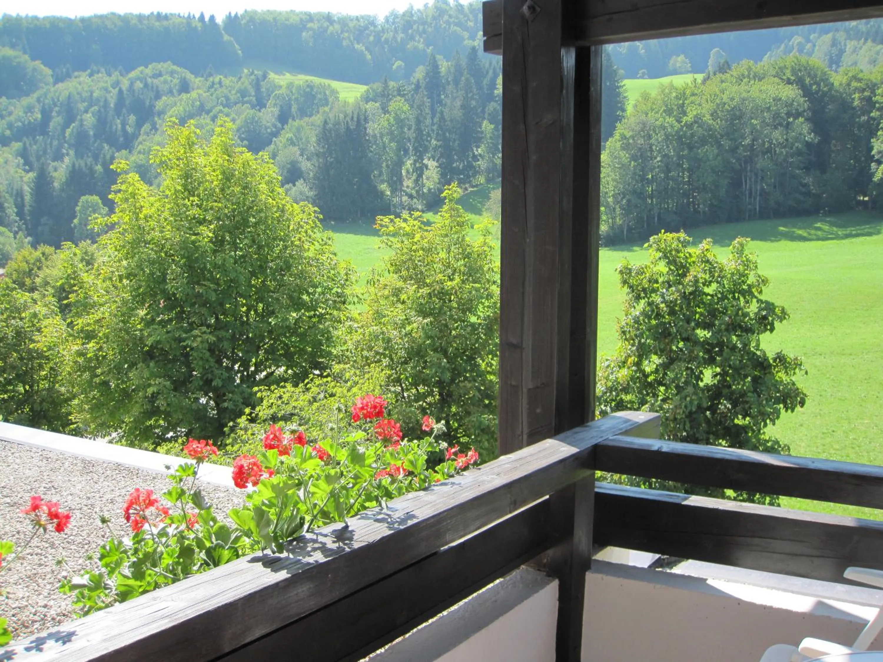 Mountain view in Landhotel Maiergschwendt inkl Chiemgaukarte