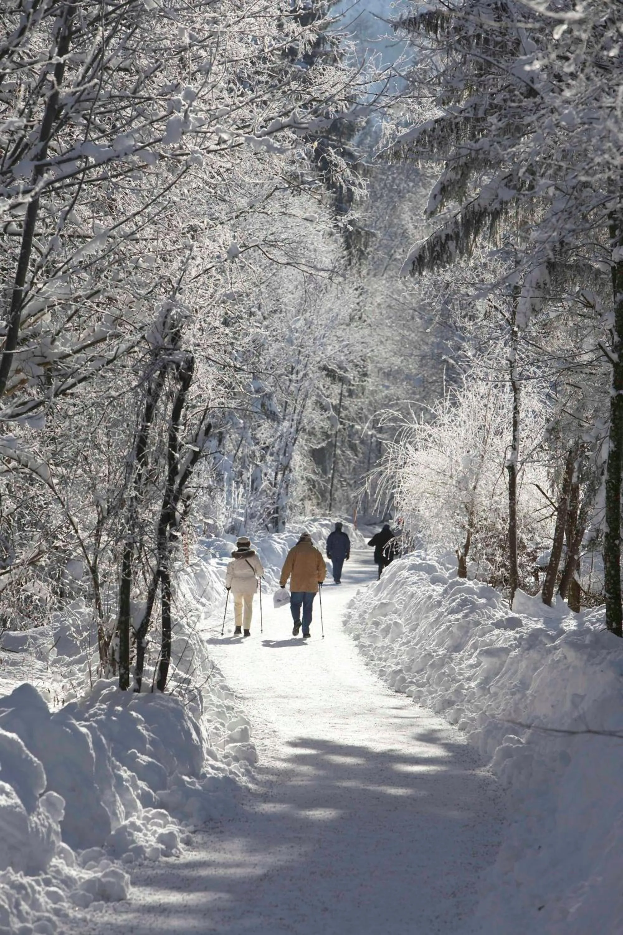 Ski School in Landhotel Maiergschwendt inkl Chiemgaukarte
