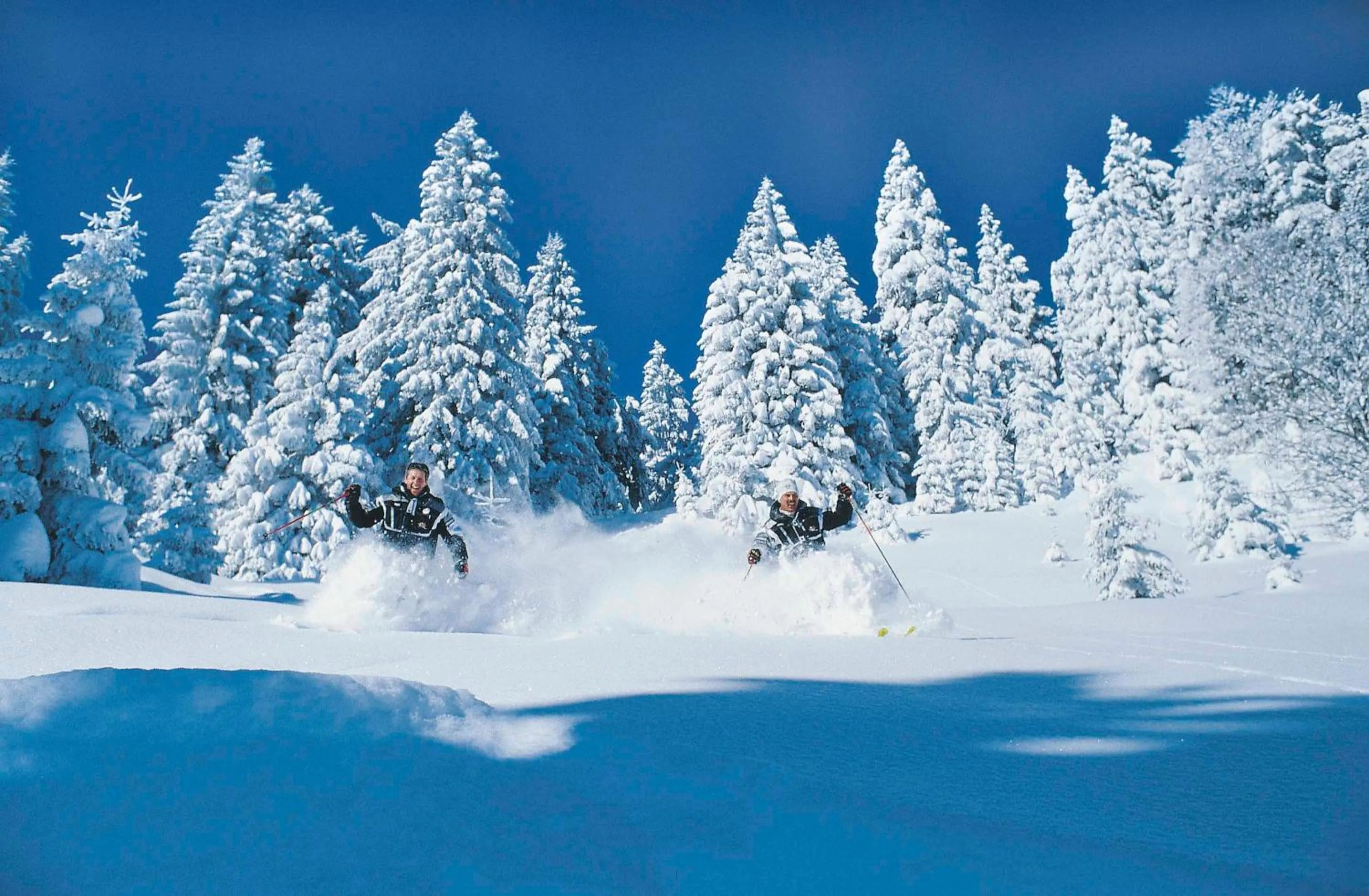 Skiing in Landhotel Maiergschwendt inkl Chiemgaukarte