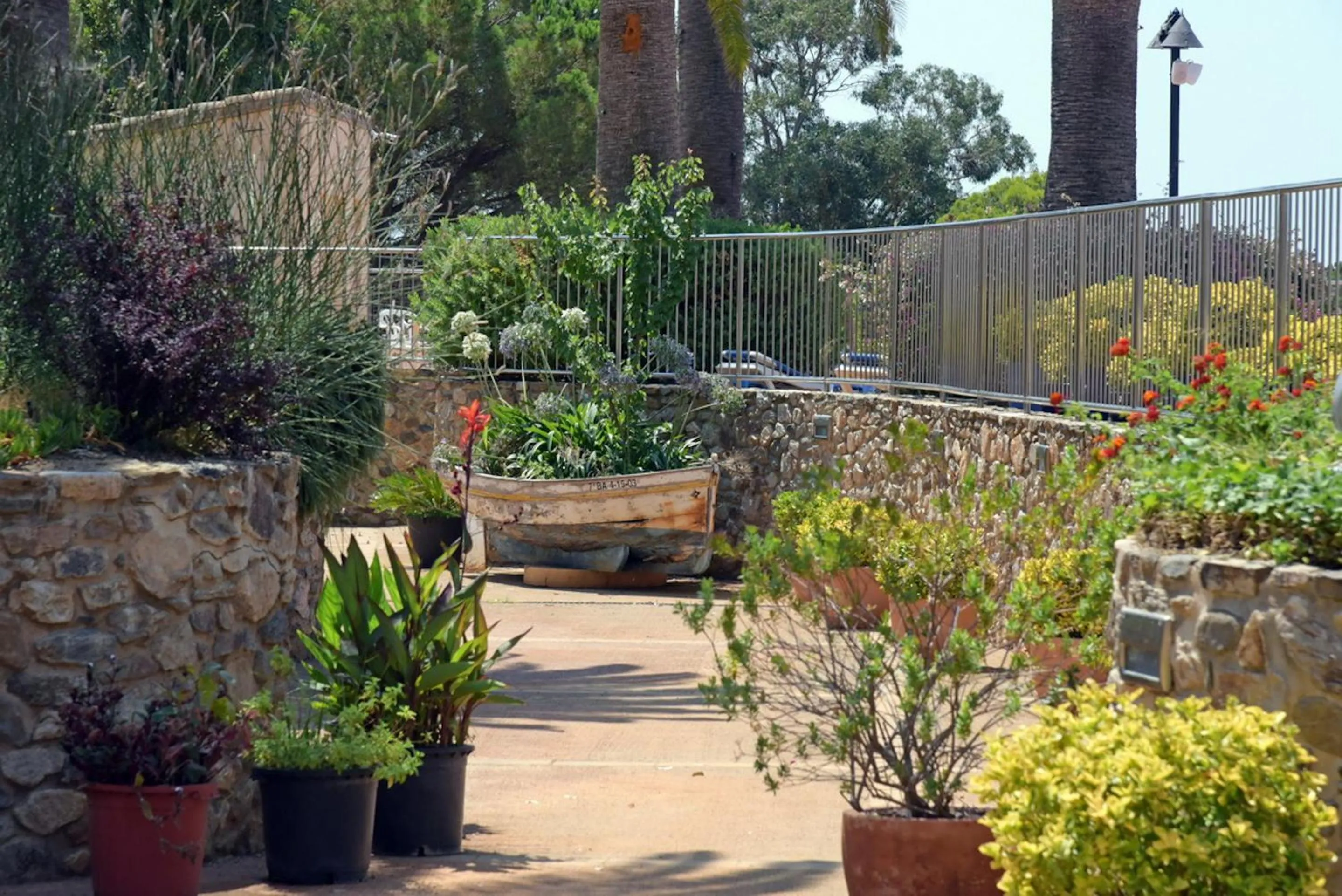 Garden in Hotel San Carlos