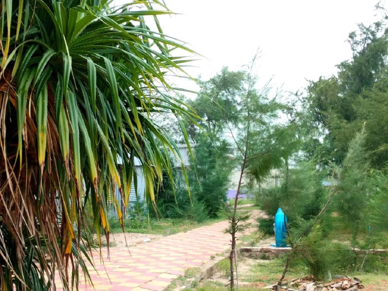 Garden in Sea Wave Beach Resort