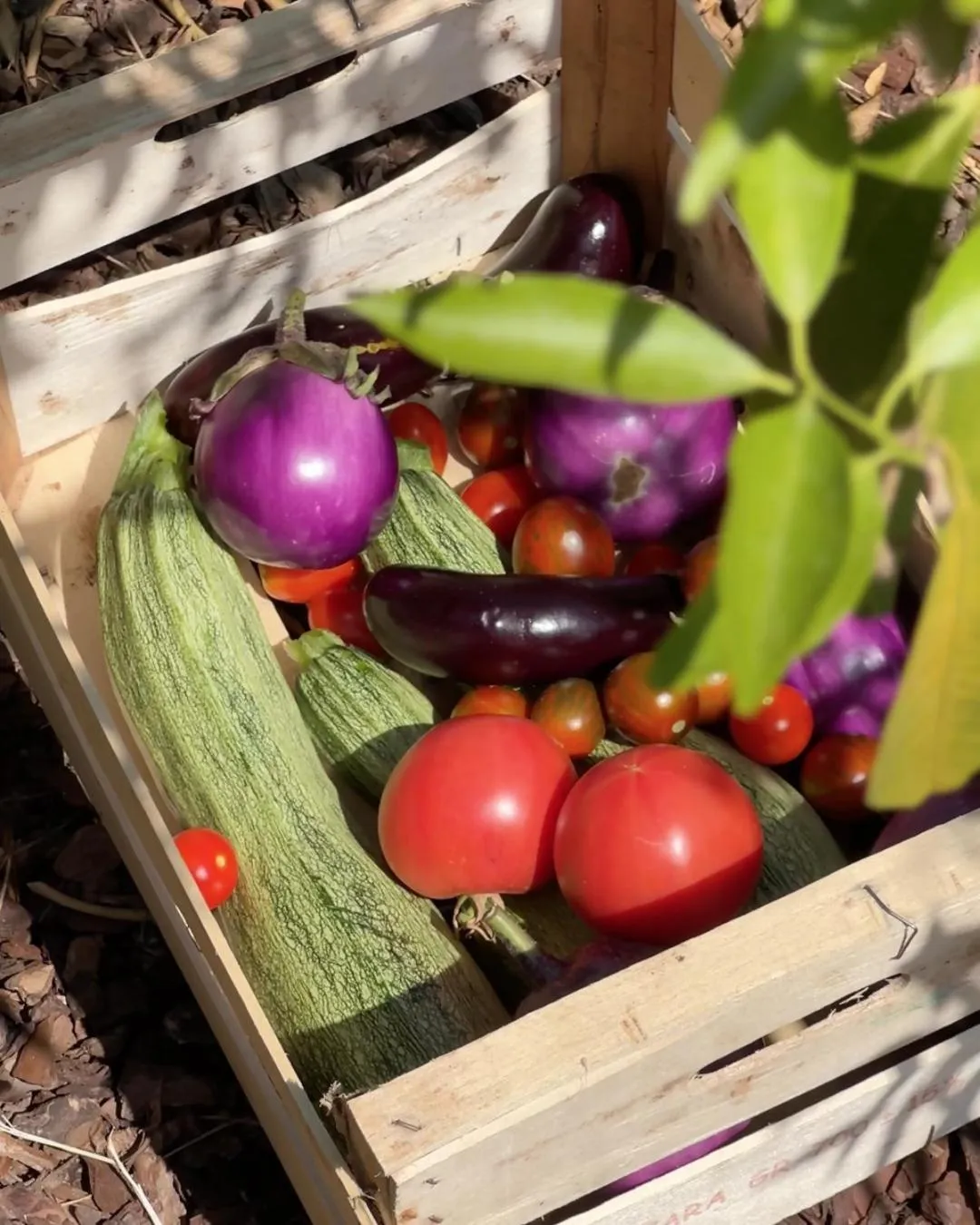 Restaurant/places to eat in Tenuta di Tramonte Boutique Hotel