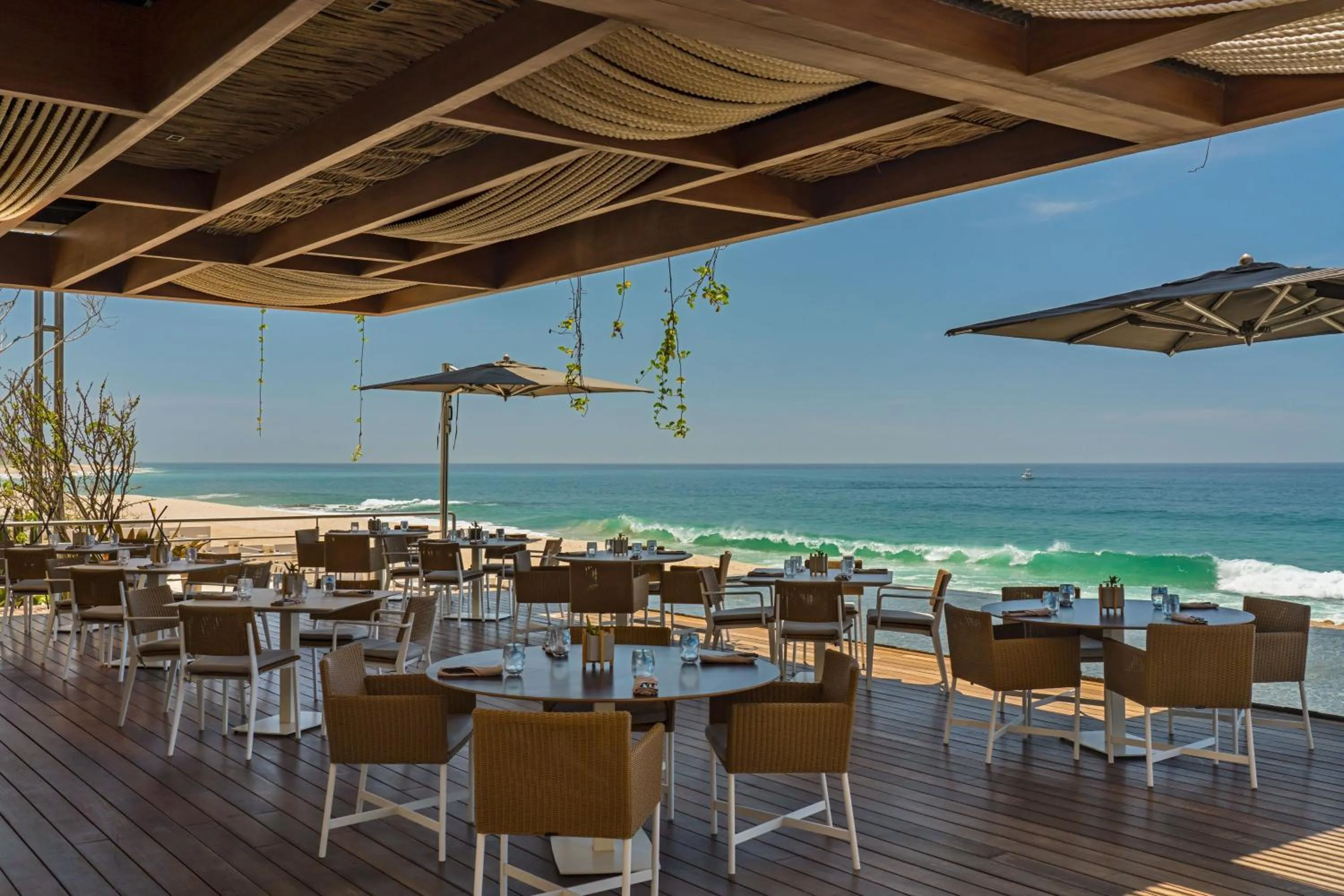Restaurant/places to eat in The Residences at Solaz, a Luxury Collection Resort, Los Cabos