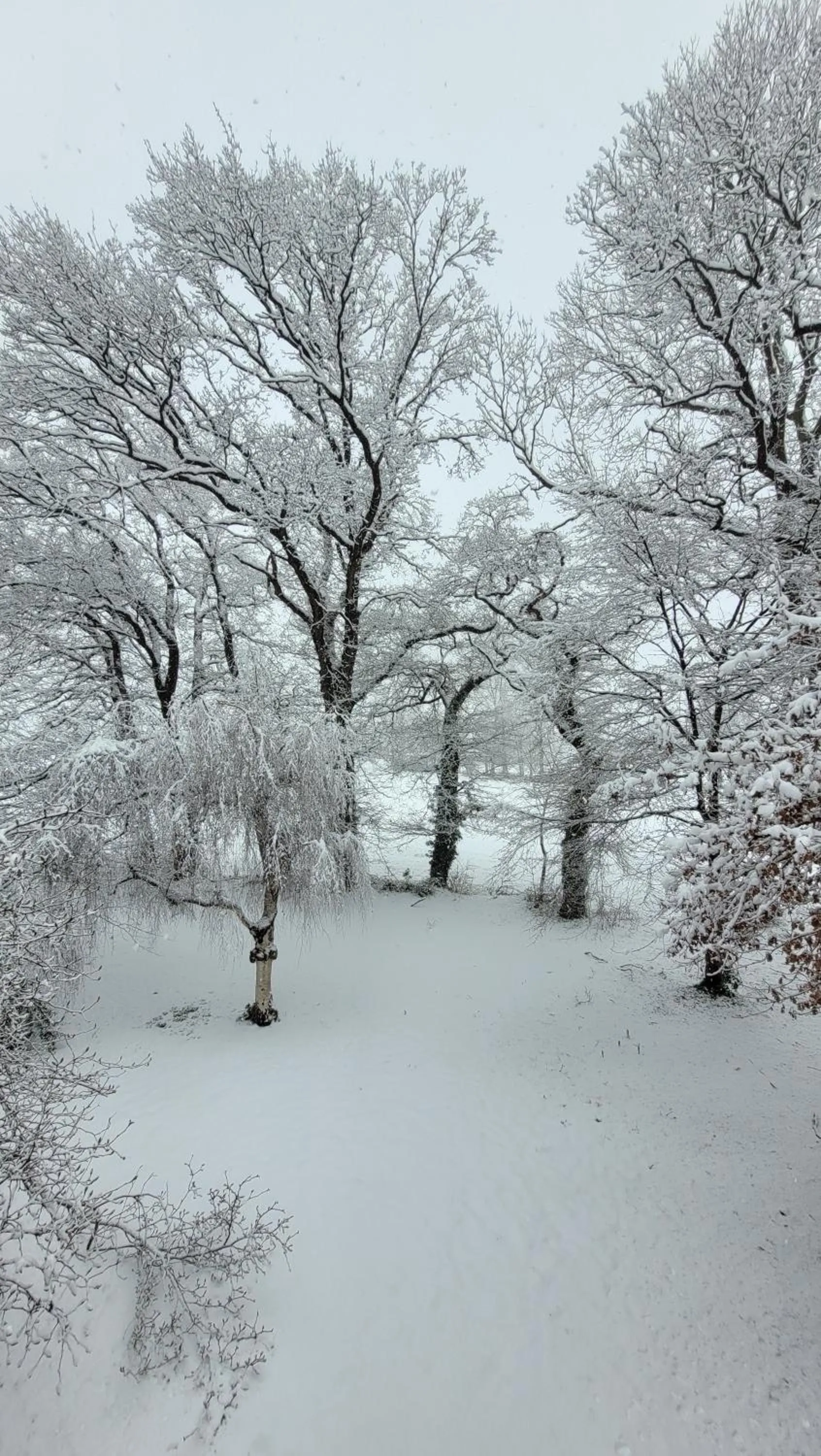 Garden in Hotel Lethehof