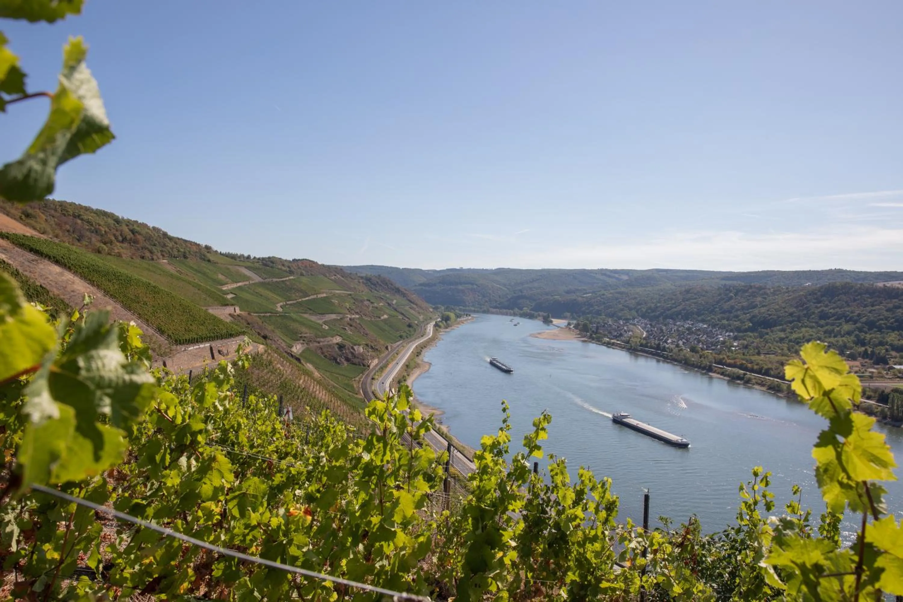 Nearby landmark in Baudobriga Rheinhotel