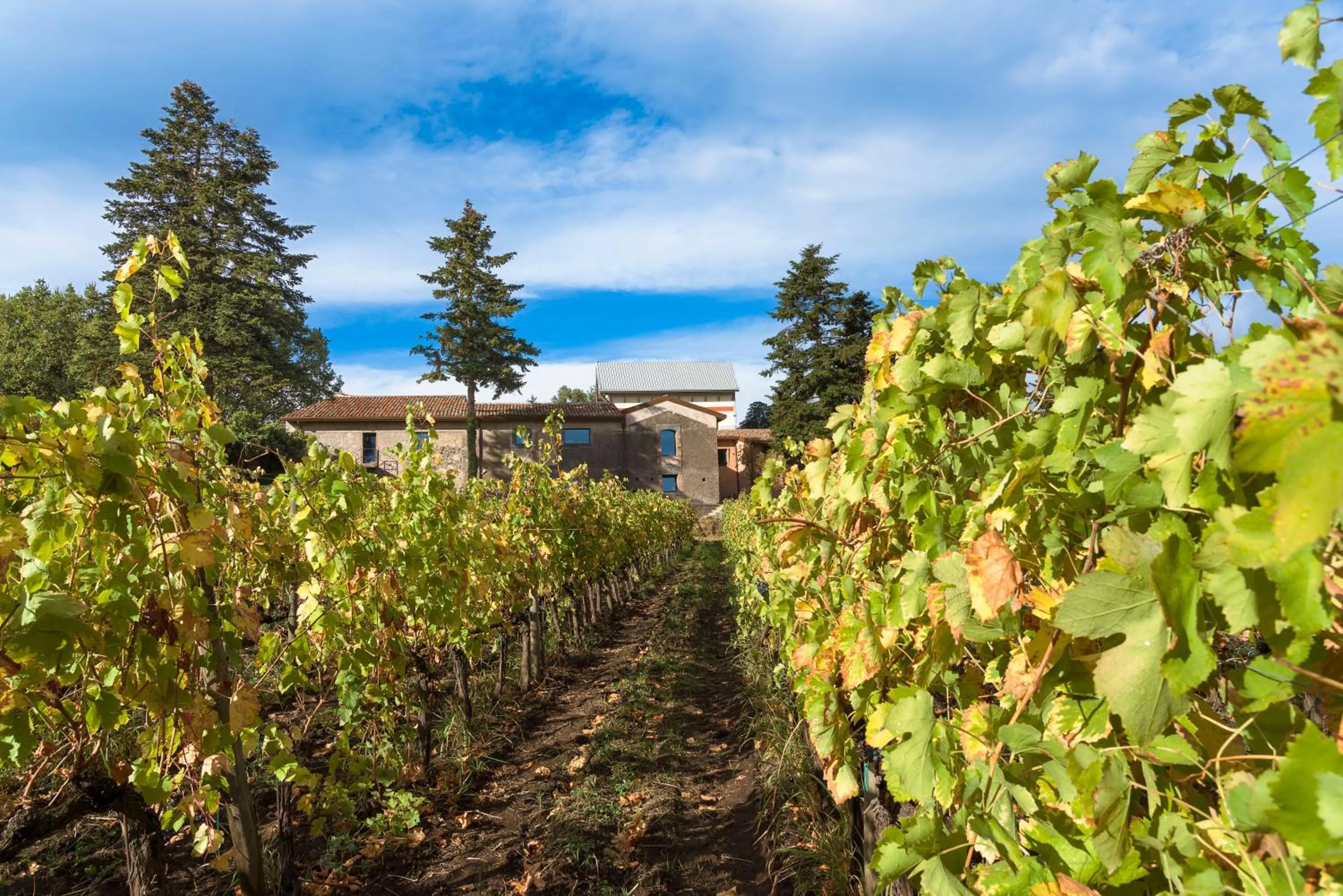 Property building in Dimora Cottanera