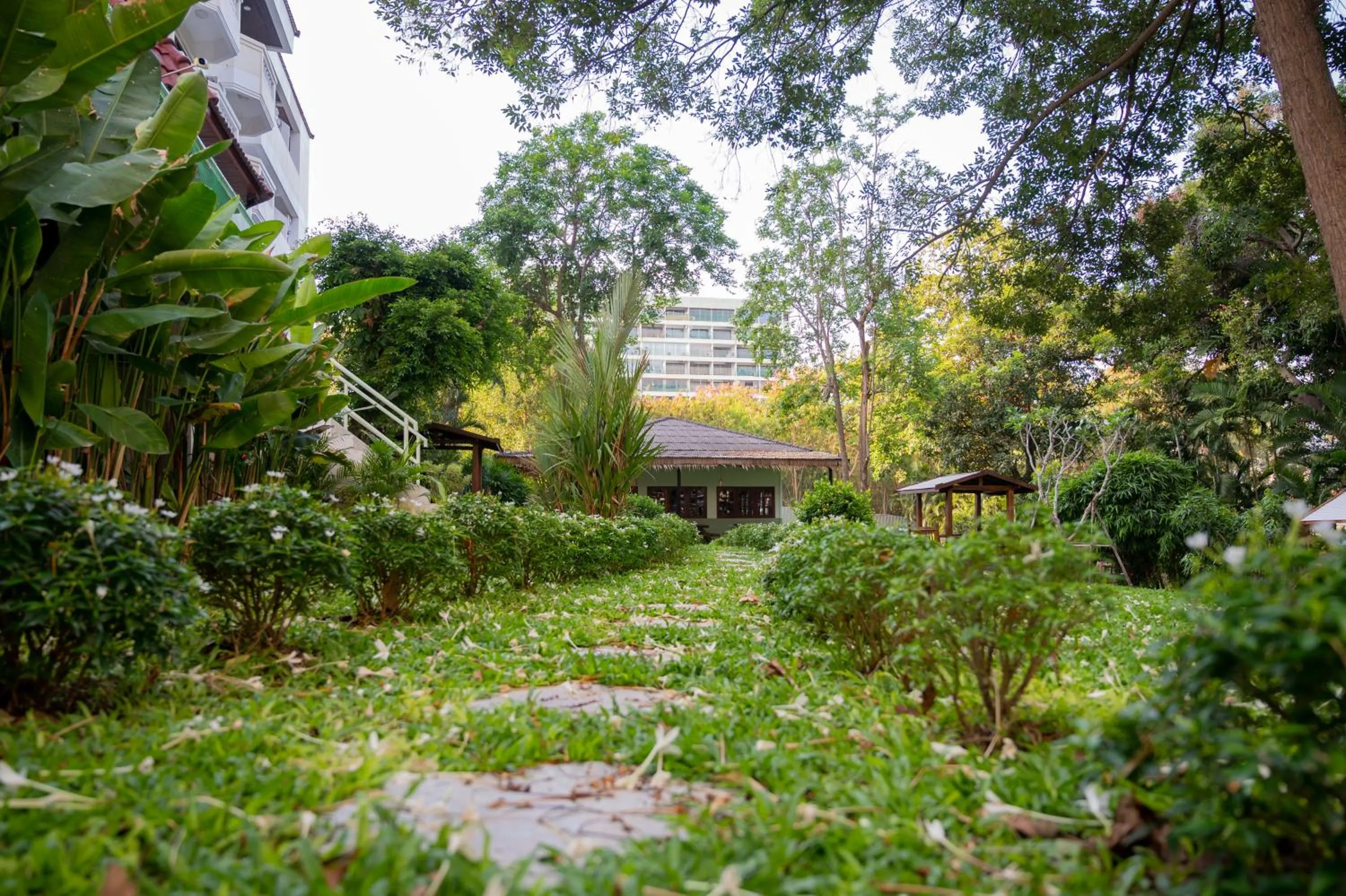 Garden in Hillside Resort