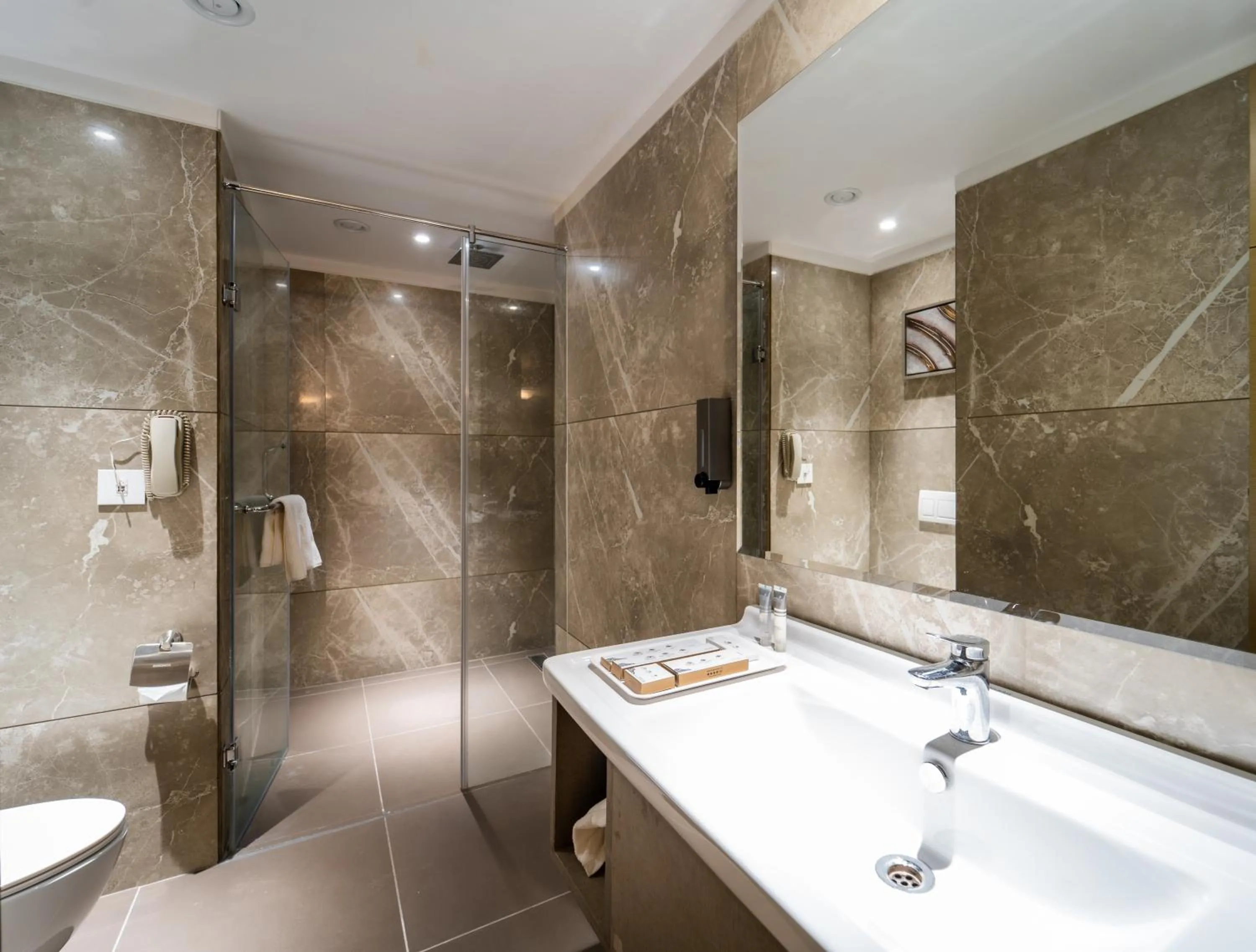 Shower in Effotel By Sayaji Bhopal