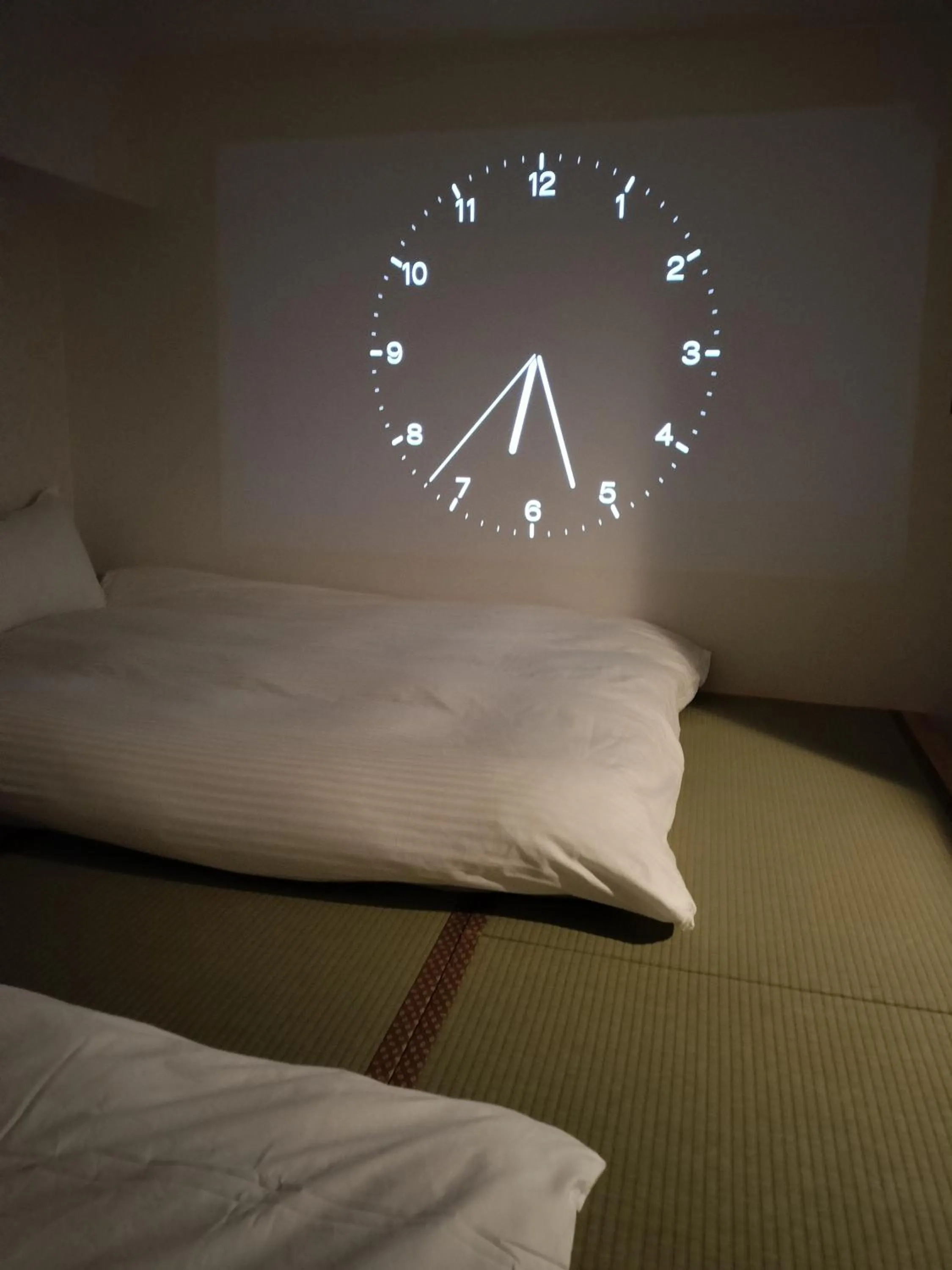 Bed in Hostel Belle Via Tokyo