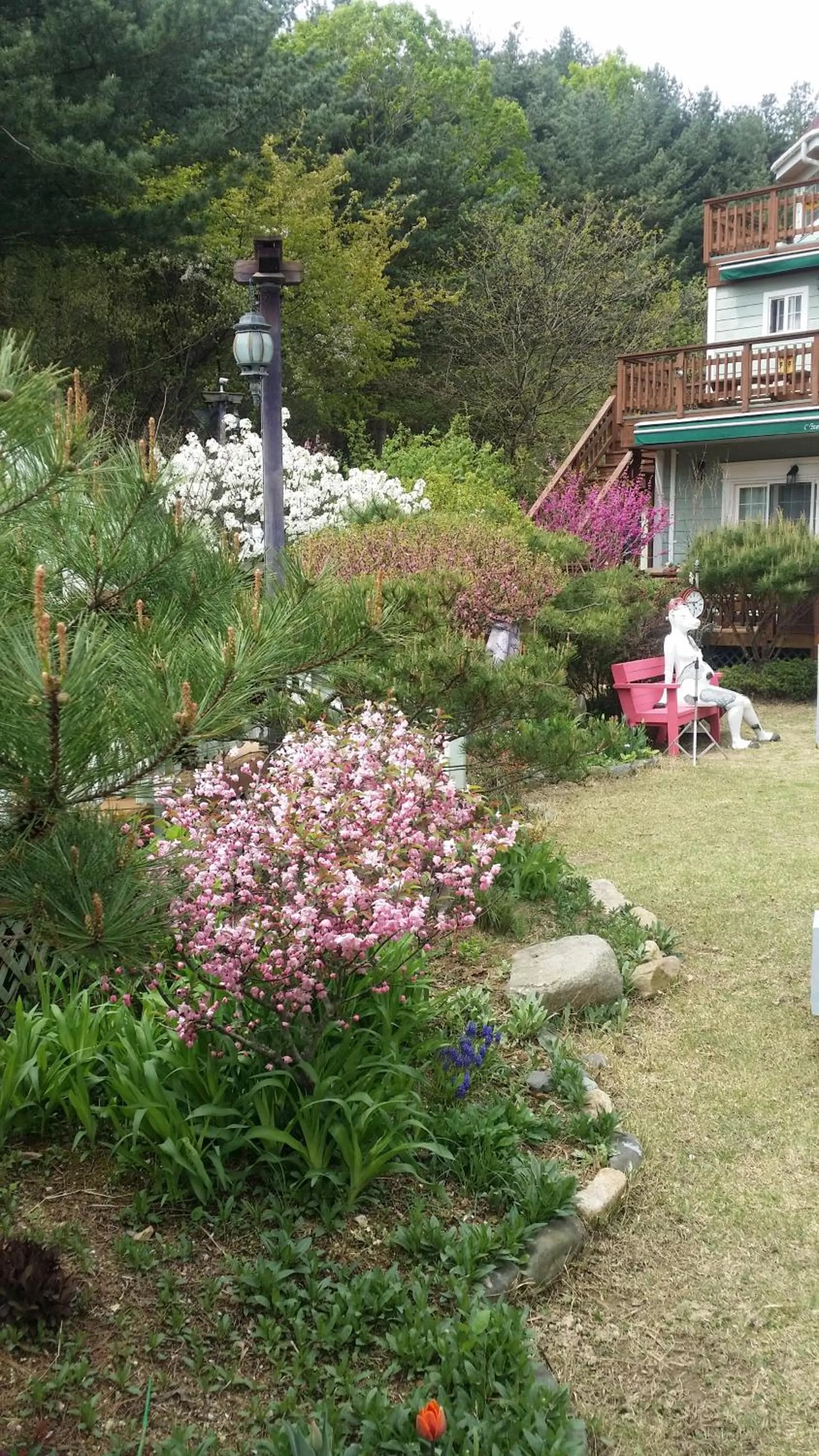 Olive Vanilla Pension