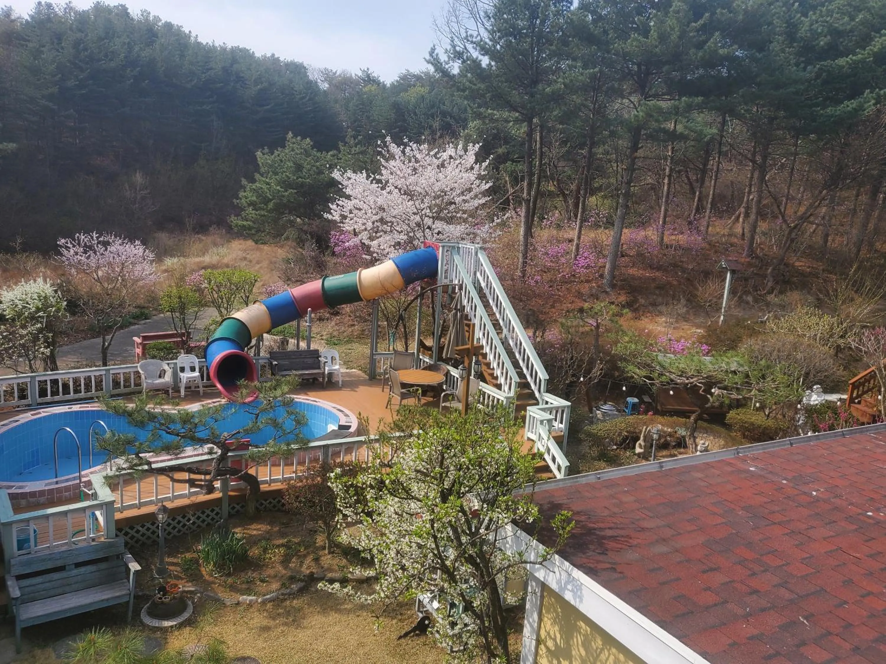 Olive Vanilla Pension