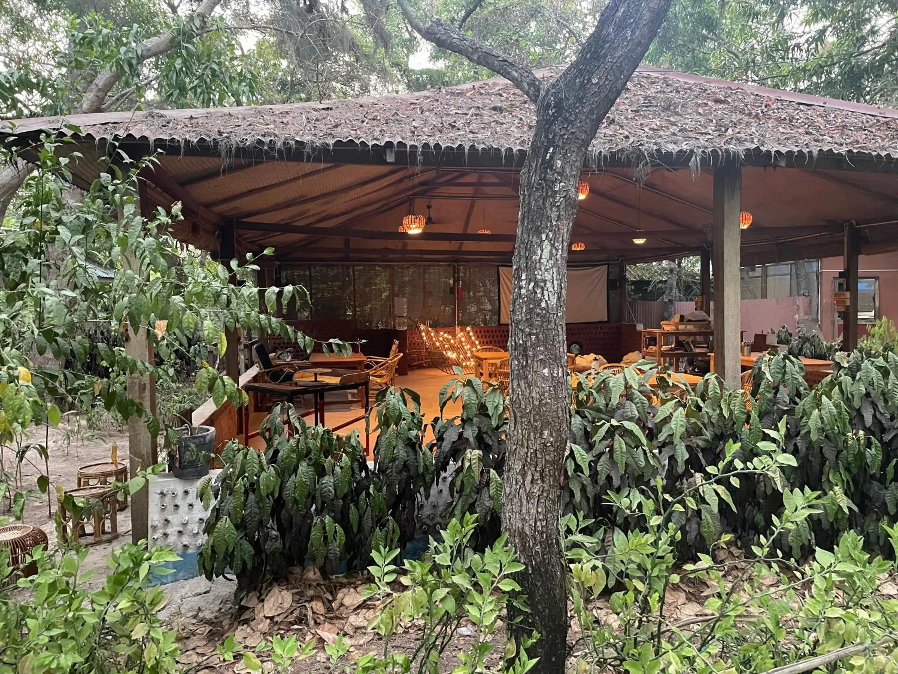 The DIVEResort and Dancing Dugong Cafe