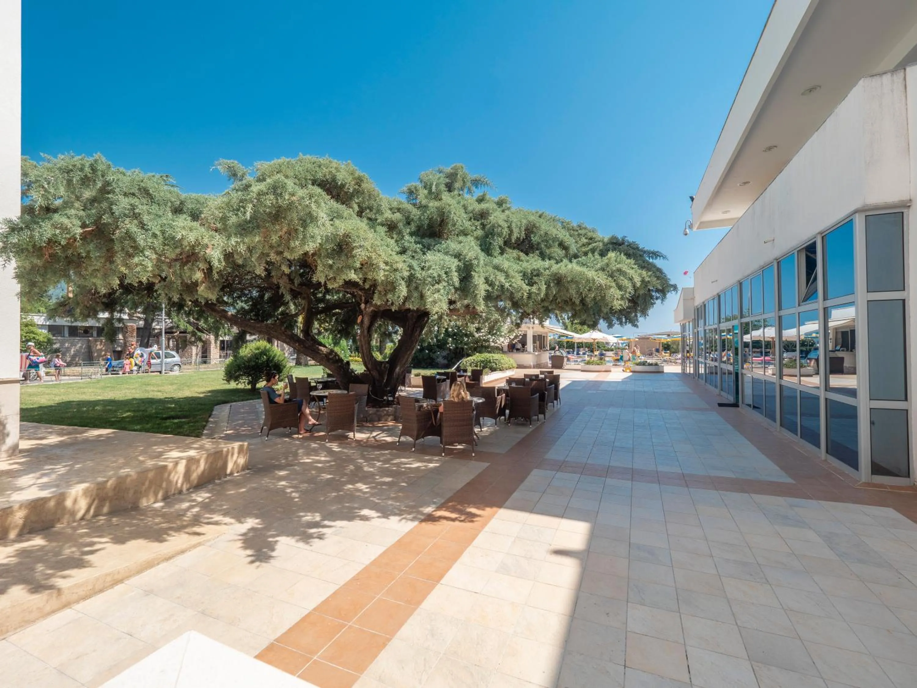 Garden in Hotel Montenegro