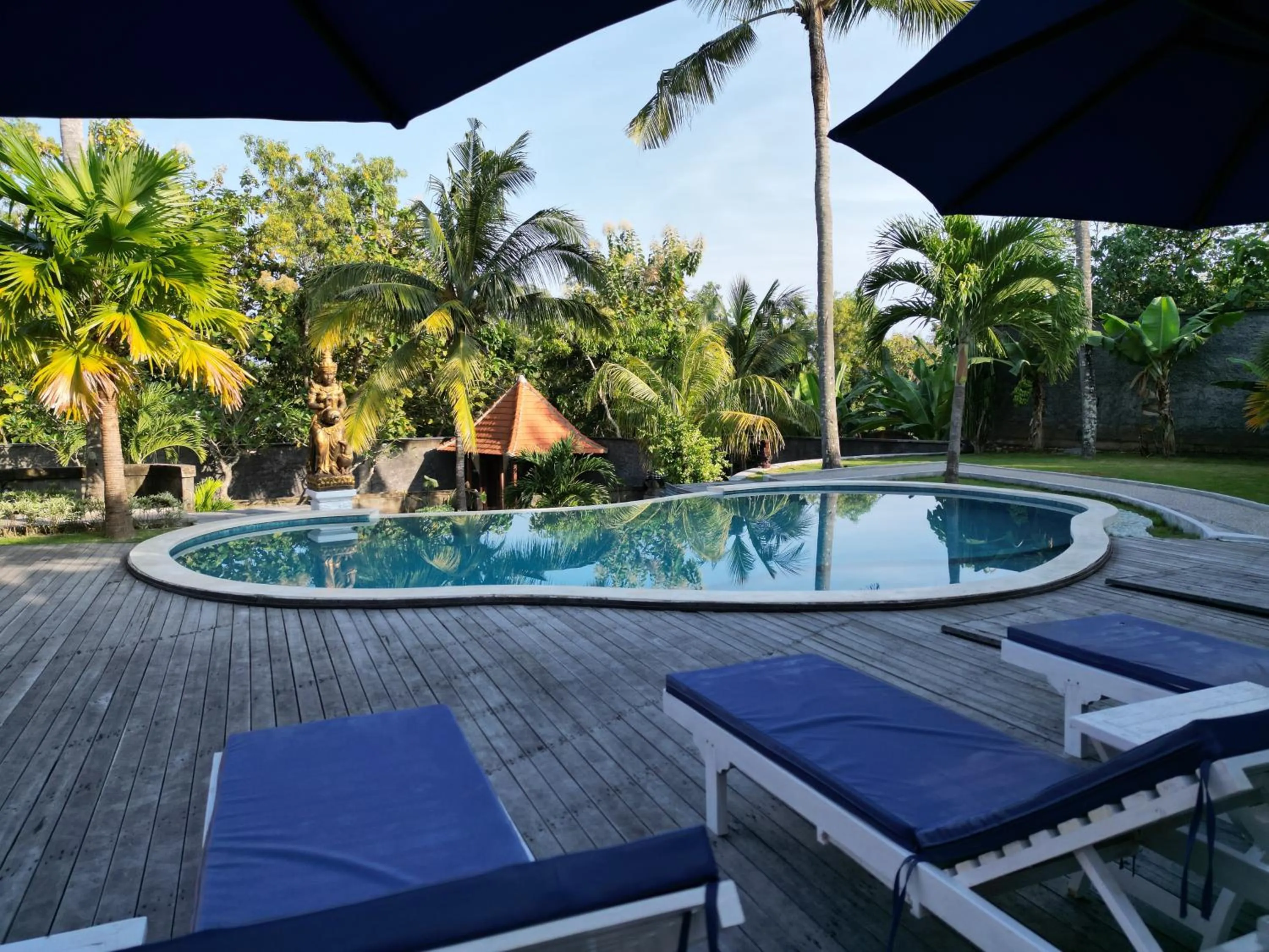 Swimming pool in Villa Vilah