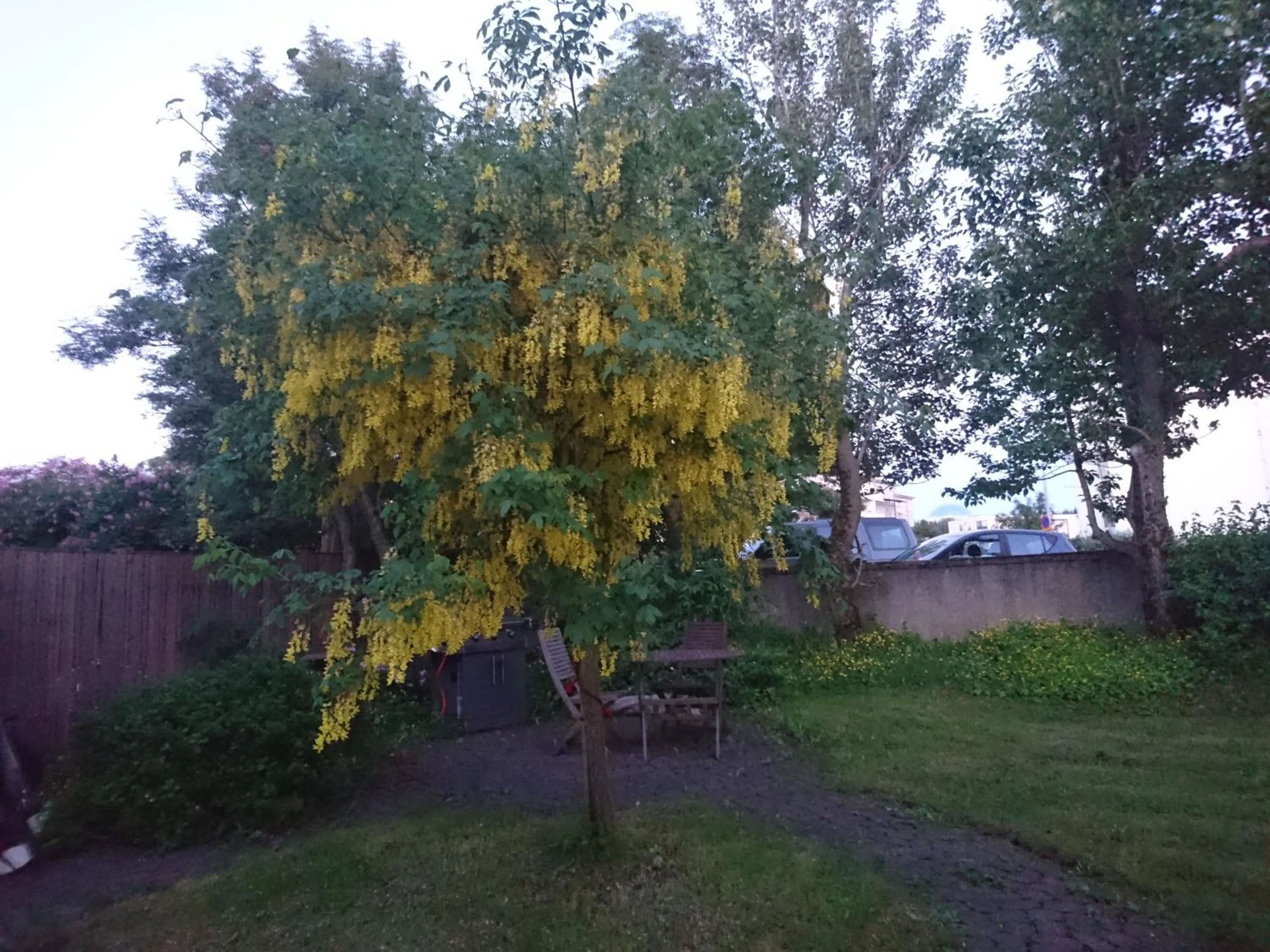 Garden in Alba Guesthouse