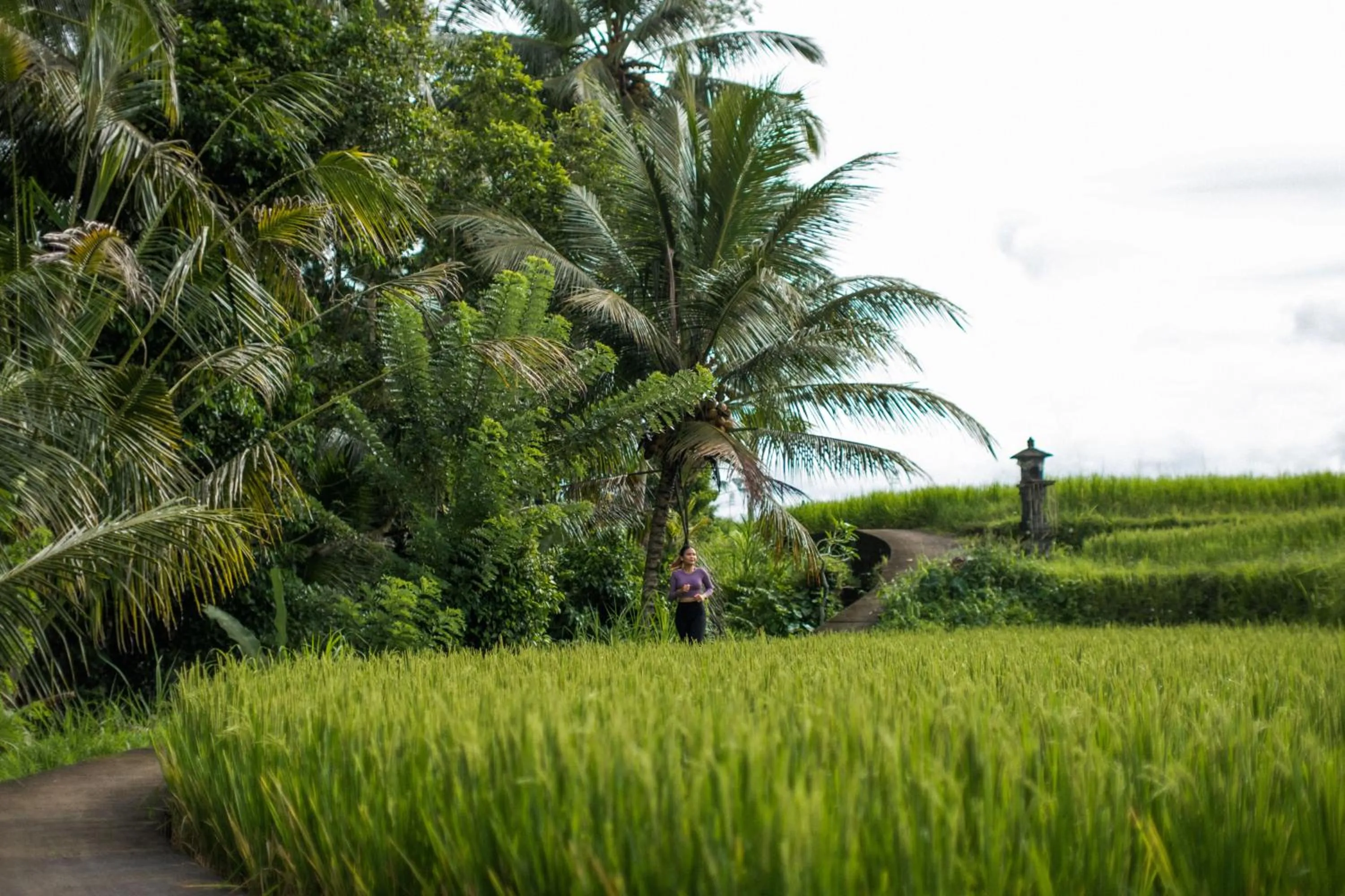 Activities in Hideaway Villas Bali - Ubud by Kanaan Hospitality