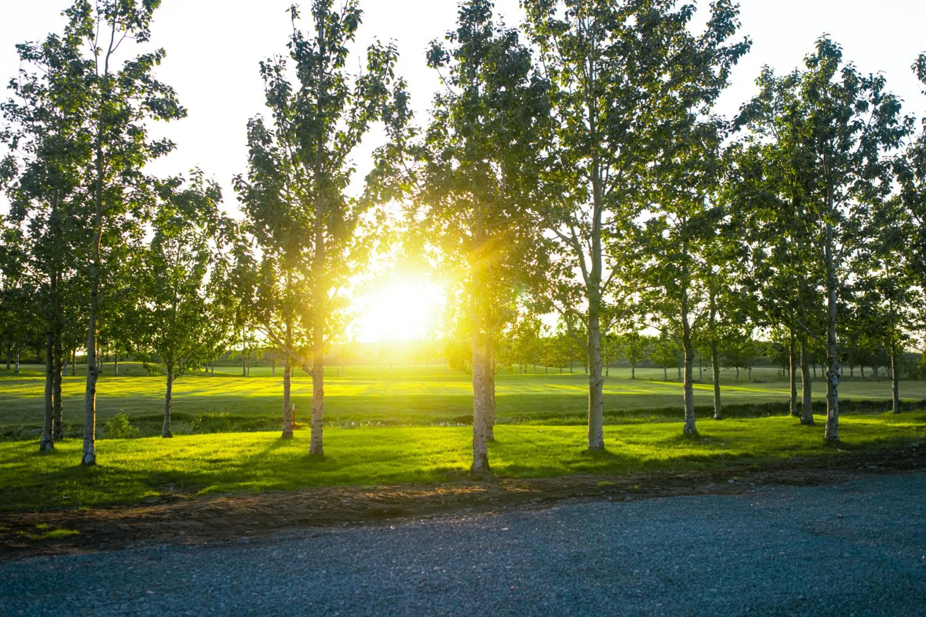 Natural landscape in Hotel Hamar