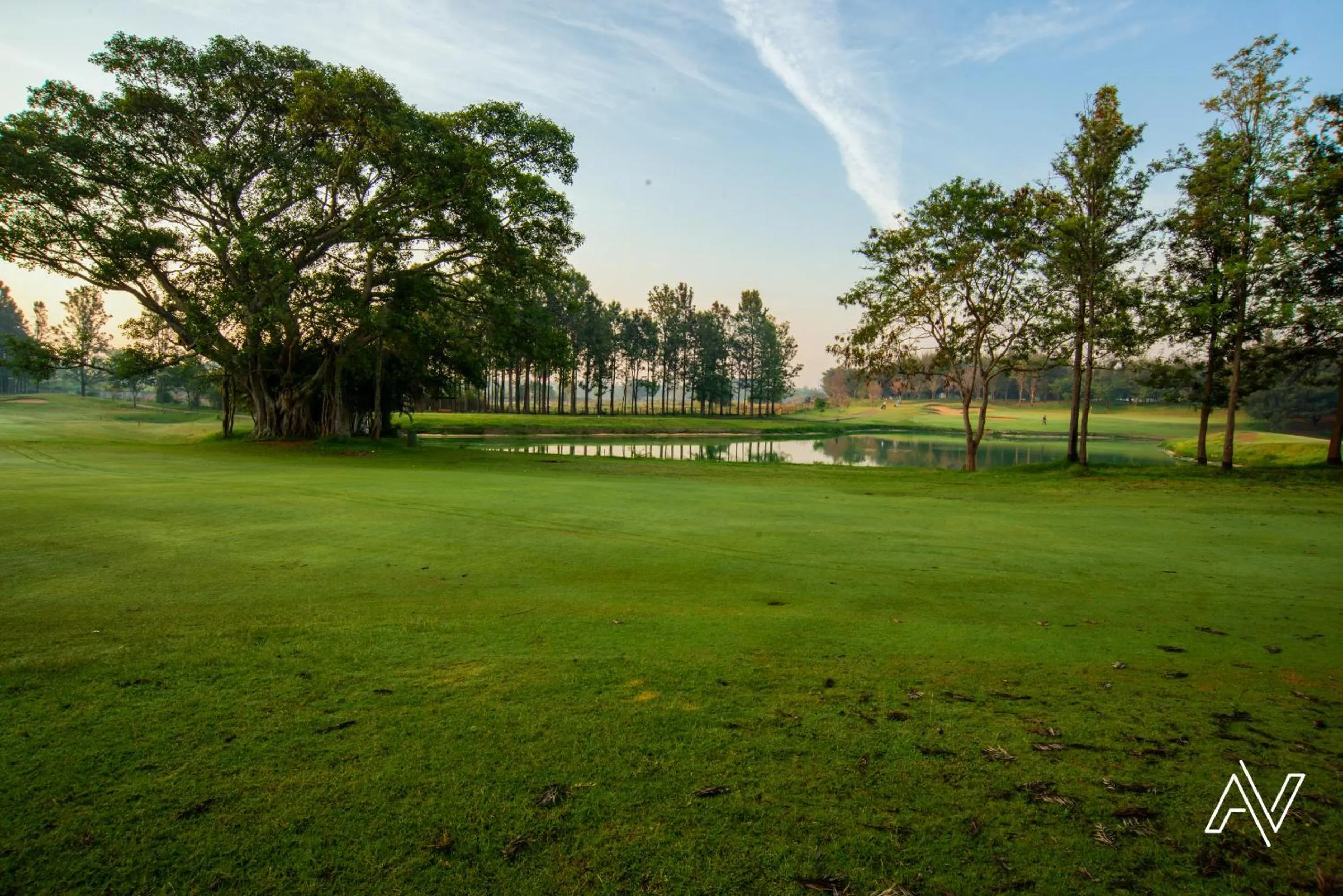 Golfcourse in Clovergreens
