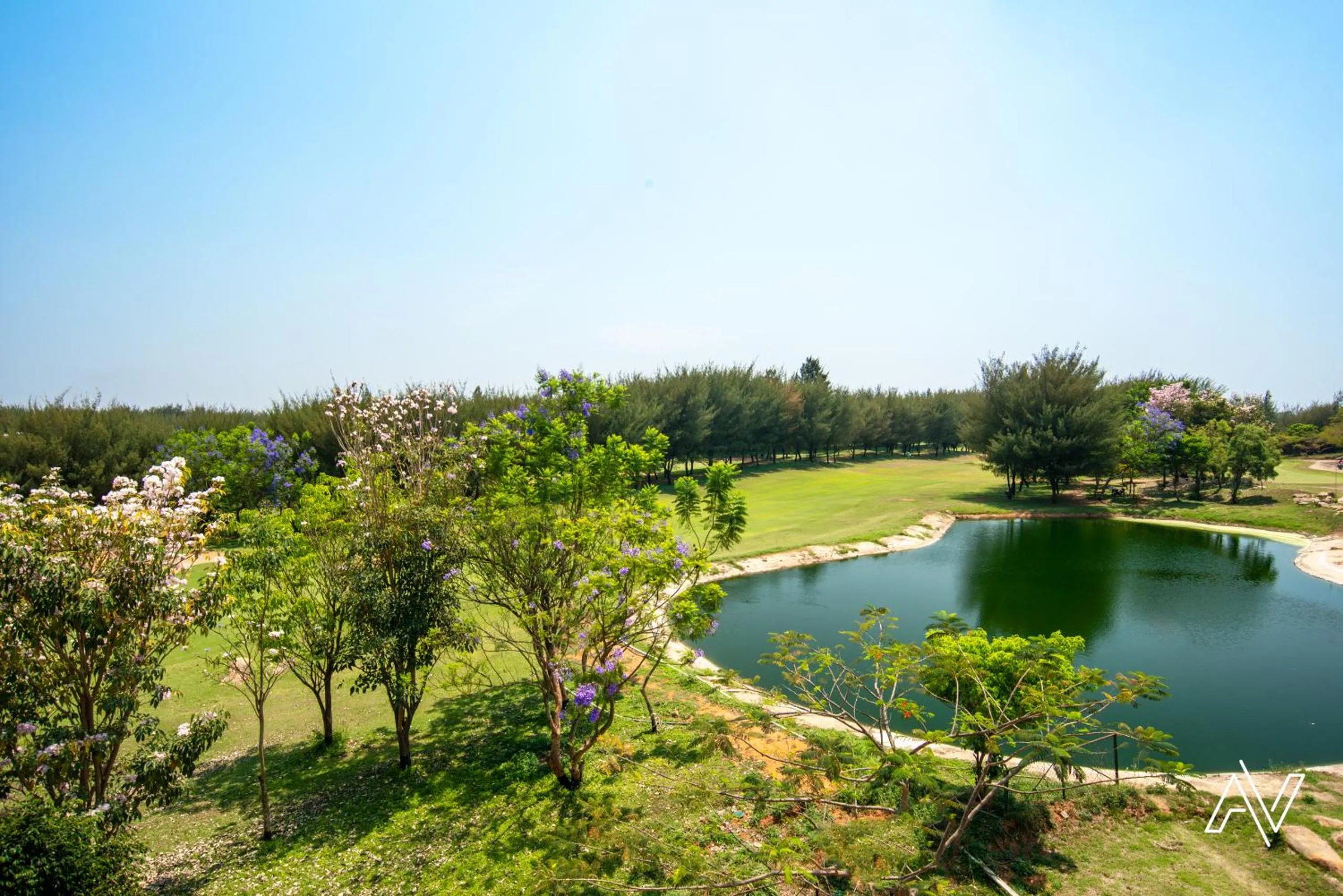 Golfcourse in Clovergreens